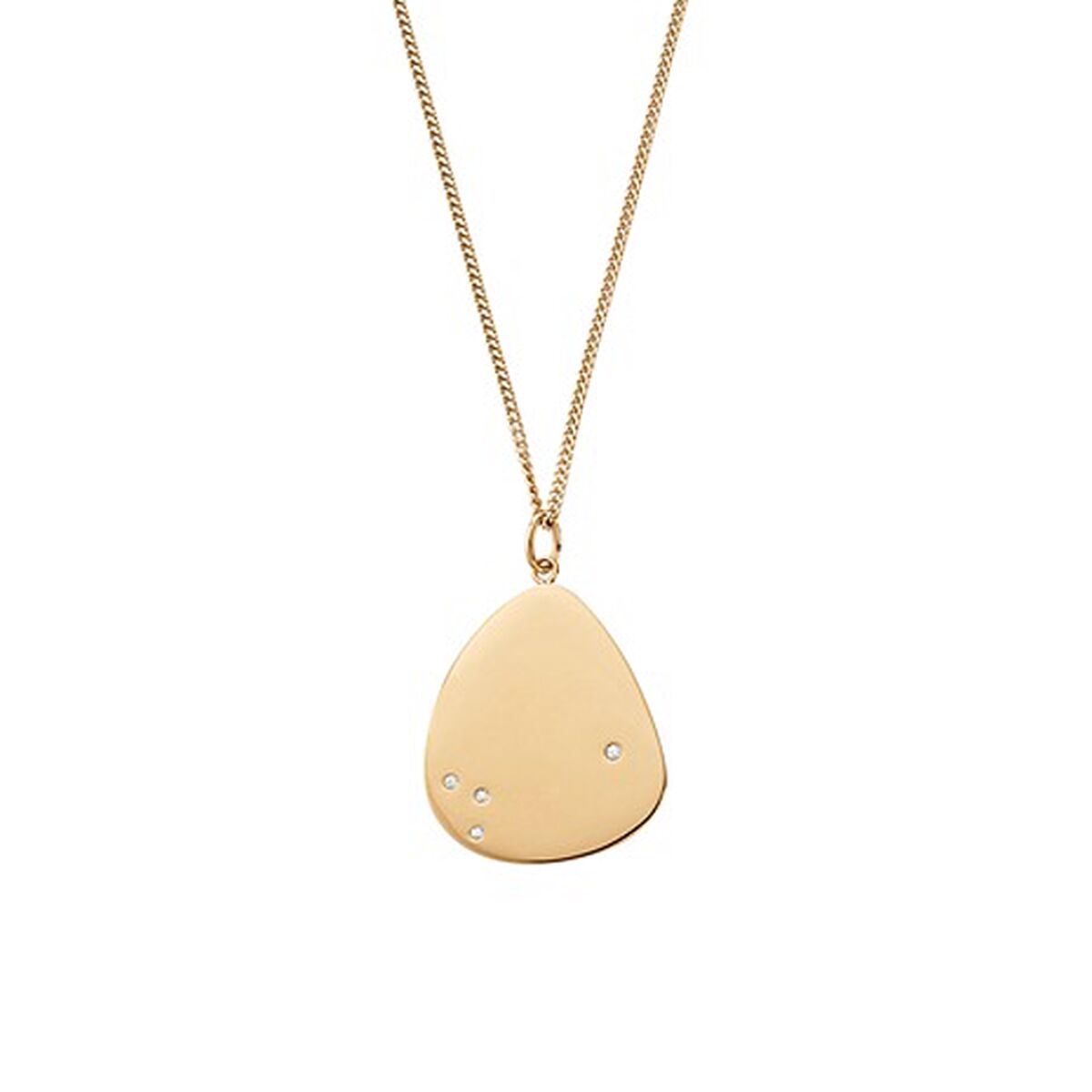 Frauenketten von Skagen SKJ1487710-2