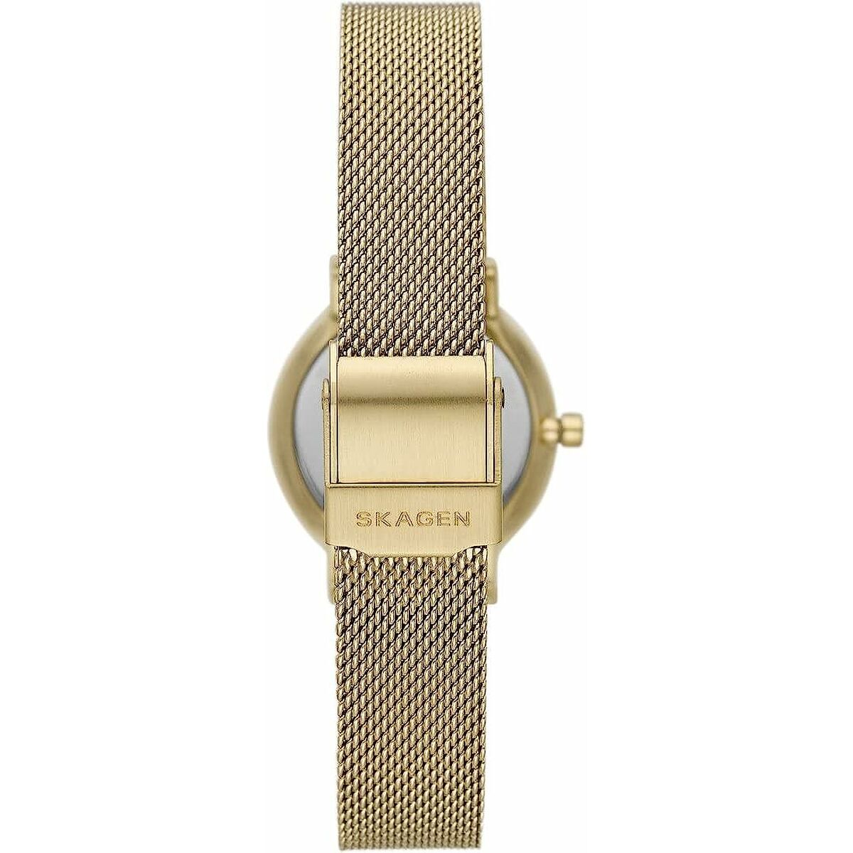 Orologio per donne Skagen SKW3084-3