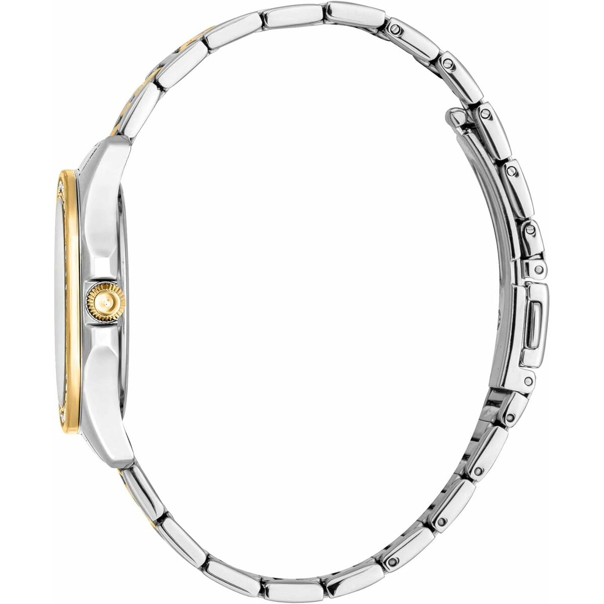 Kadın Saati Sadece Cavalli JC1L263M0085-2