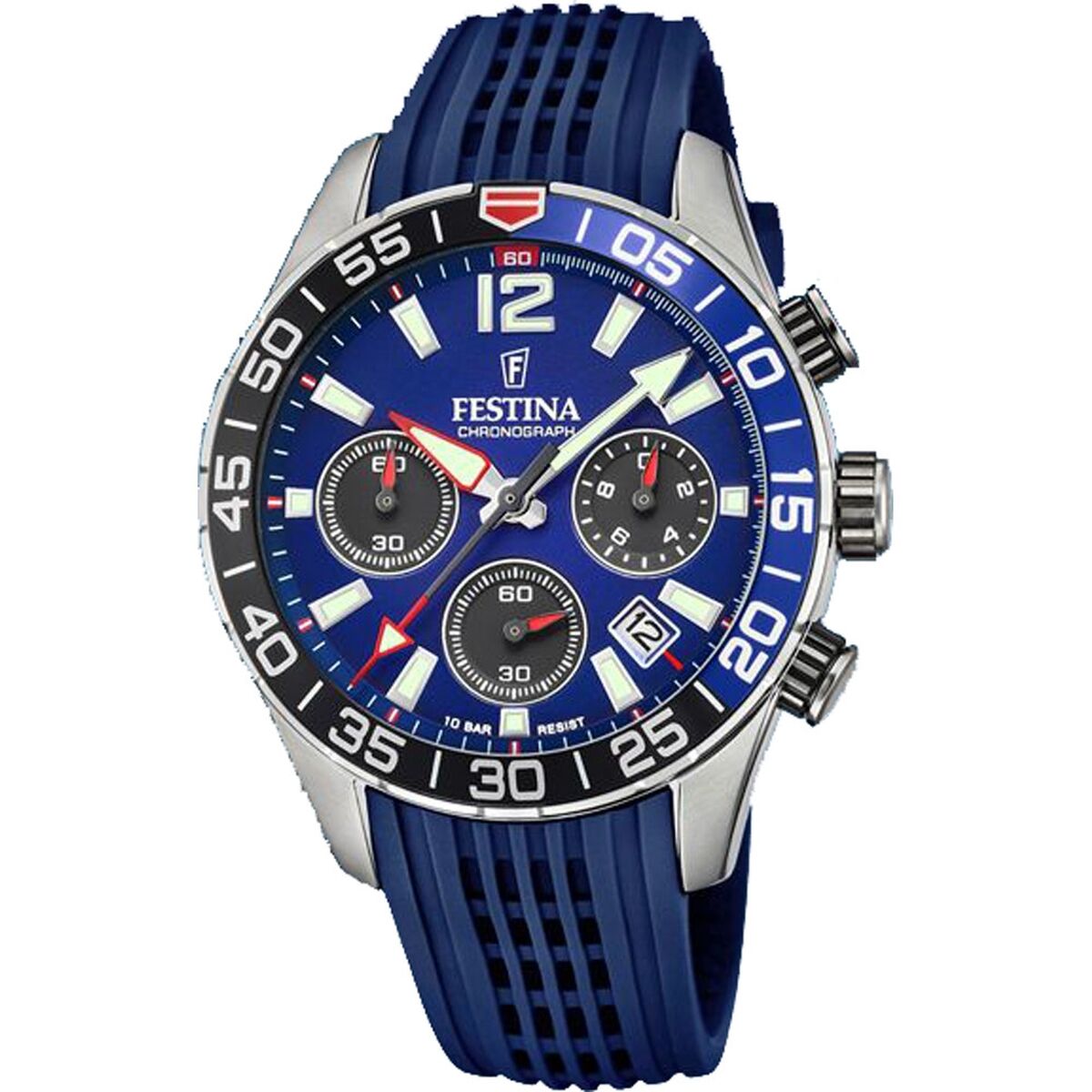 Festina Erkek Saati F20517/1