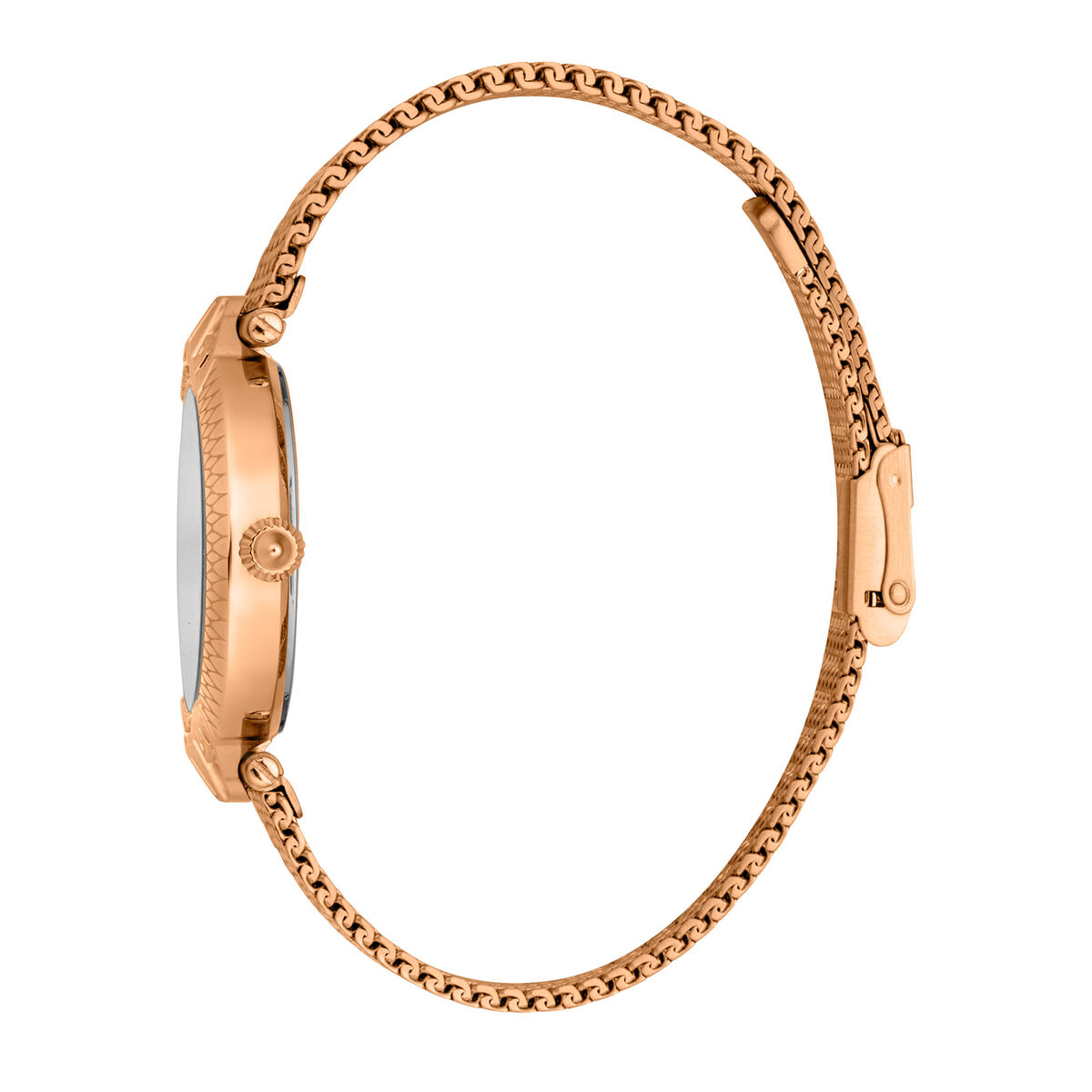 Women's Watch Just Cavalli JC1L237M0075-3