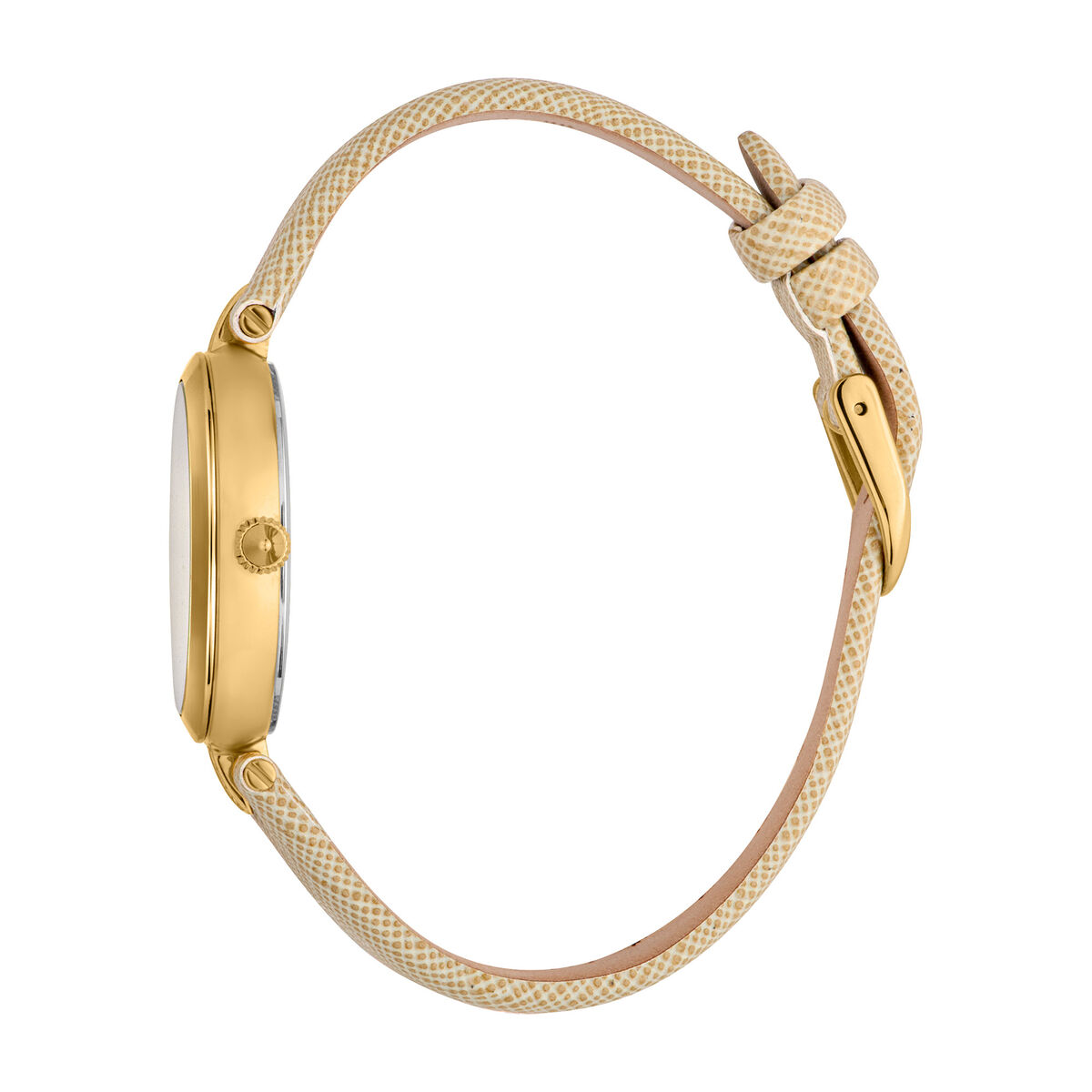 Women's Watch Just Cavalli JC1L241L0025-3
