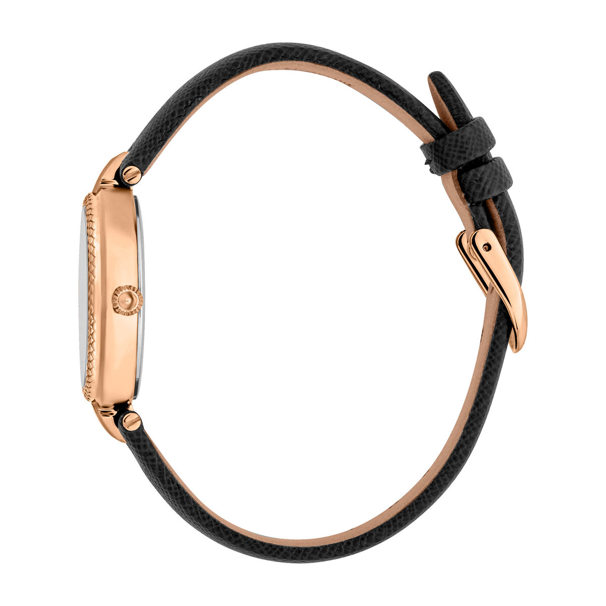 Women's Watch Just Cavalli JC1L254L0035-3