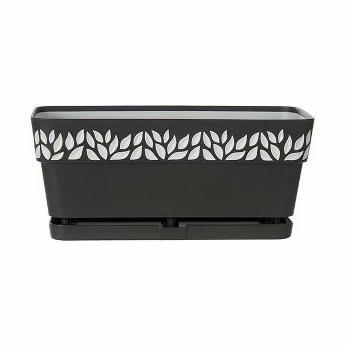 Seeding device with auto-watering Stefanplast Cloe Anthracite Plastic 13.3 x 12.3 x 29.3 cm (12 pieces)-3