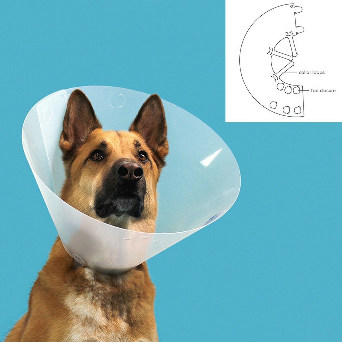 Collar para perros Isabelino KVP Quick Fit Transparente (63-78 cm)-2