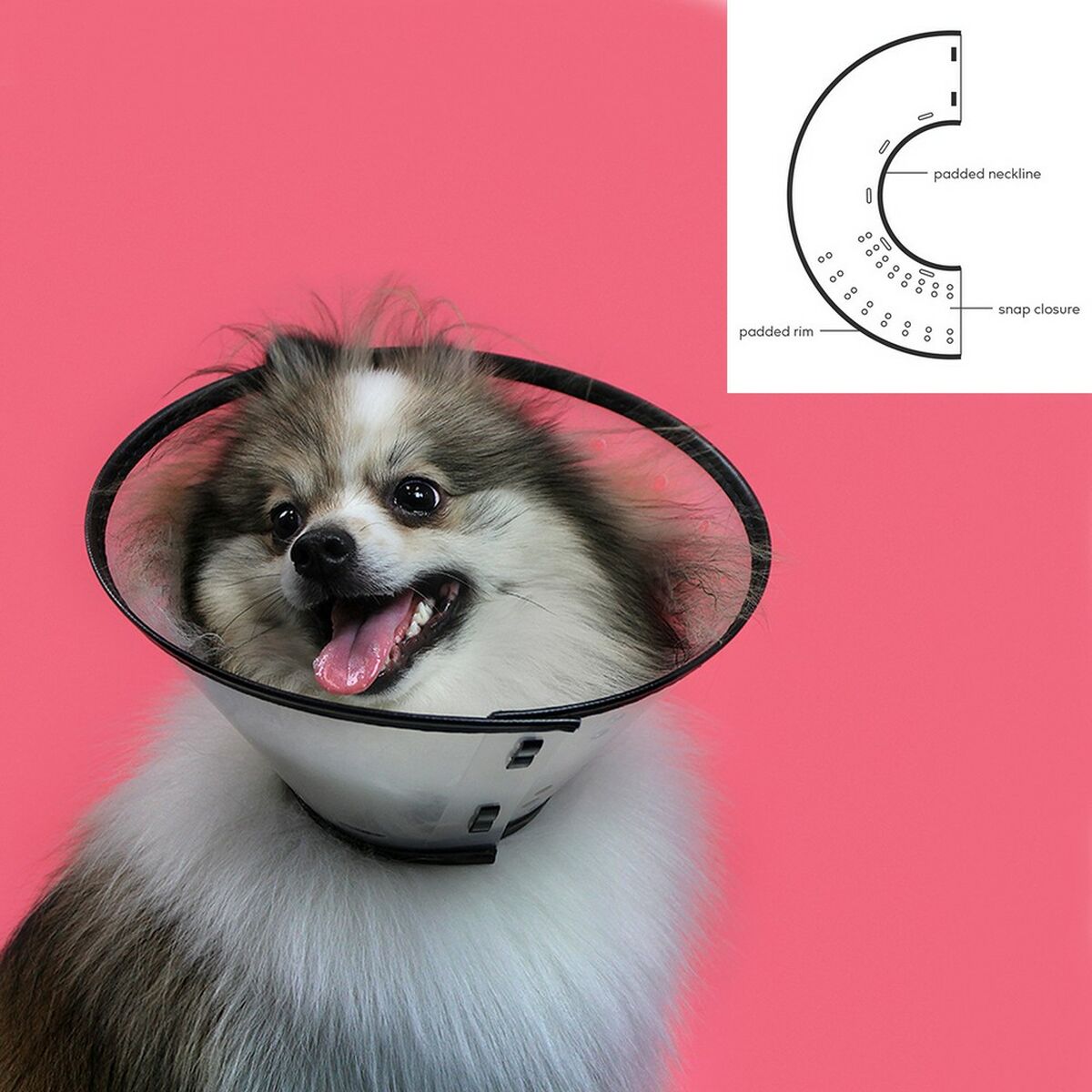 Collar para perros Isabelino KVP Saf-T-Clear Transparente (30-53 cm)-3