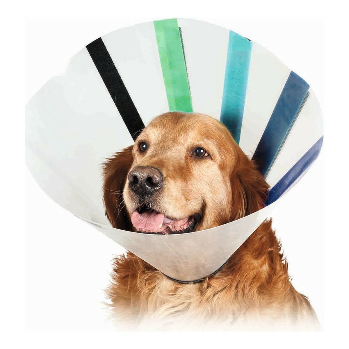 Coleira para cães Isabelino KVP EZ Clear (32-39 cm)