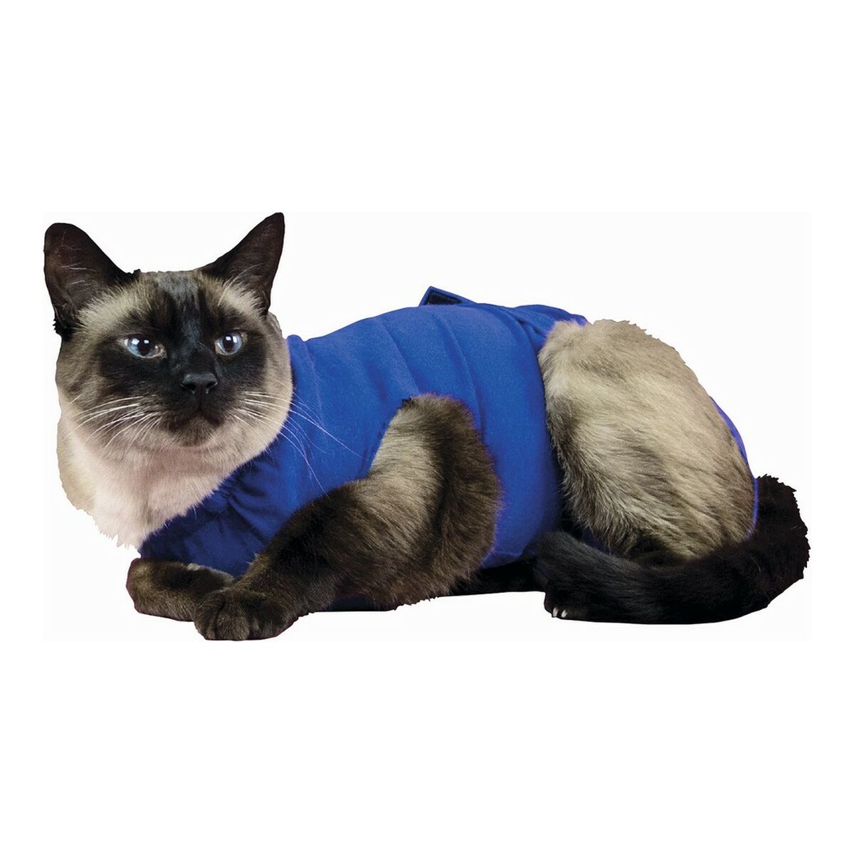 Body para animais KVP Azul 21-24 cm
