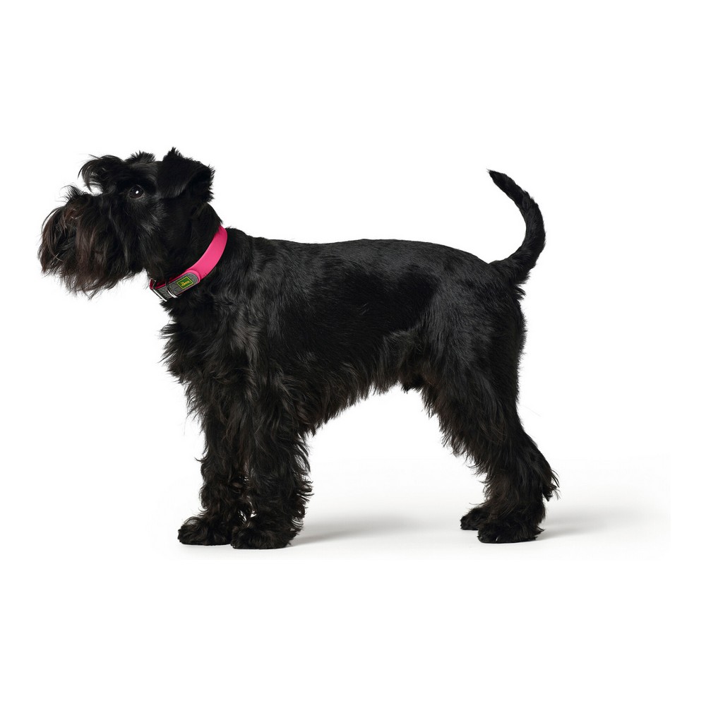 Collar de perro Hunter Covenience XS-S Rosa (23-31 cm)-3