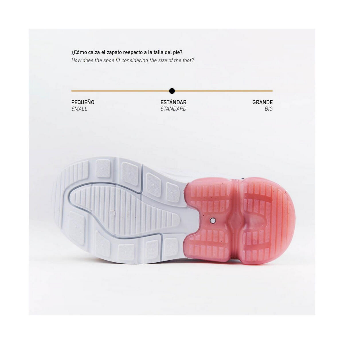 Կոշիկներ Looney Tunes Տարբեր գունավոր-6