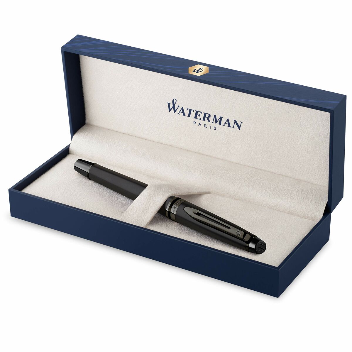 Pluma para caligrafía Waterman Expert (Revisado D)