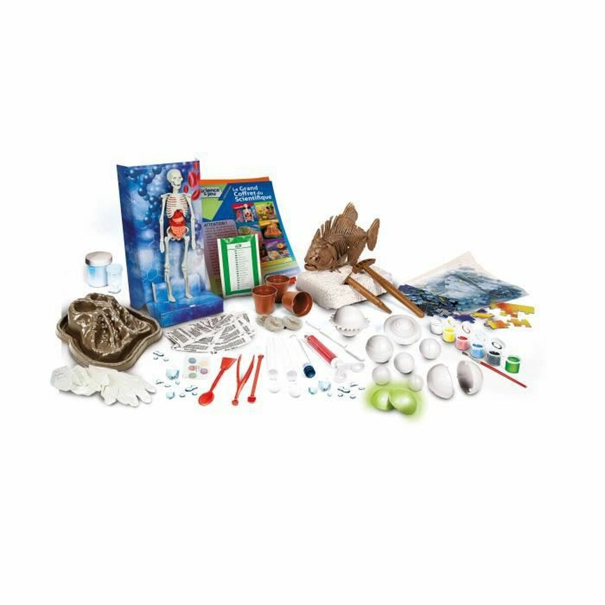 साइंस गेम क्लेमेंटोनी 52258 (FR) (1 आइटम)-2