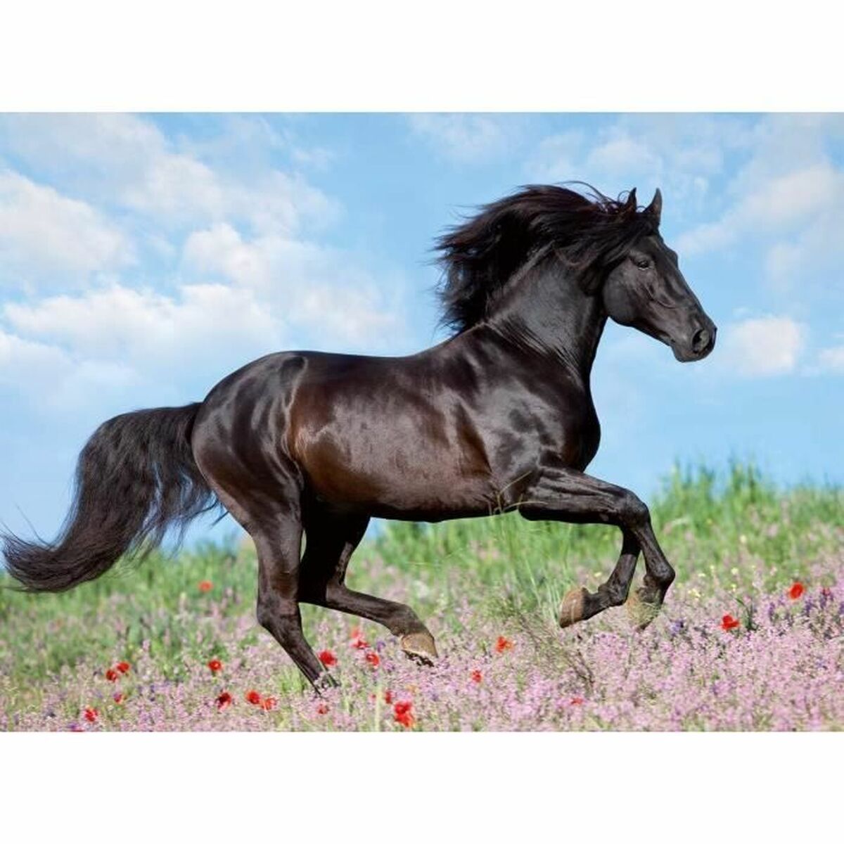 Головоломка Ravensburger 12803 Black Stallion XXL 200 Предметы-2