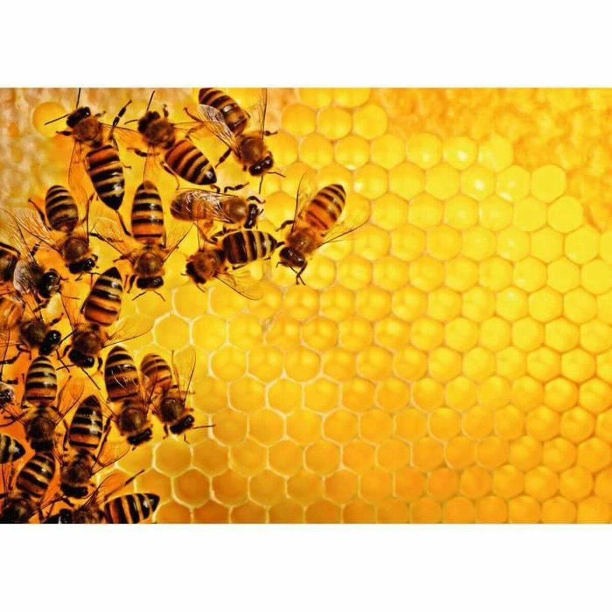 Головоломка Ravensburger Challenge 17362 Beehive 1000 Предметы-2