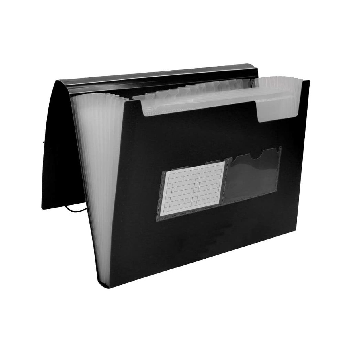 Папка-классификатор Liderpapel FU35 Чёрный A4-2