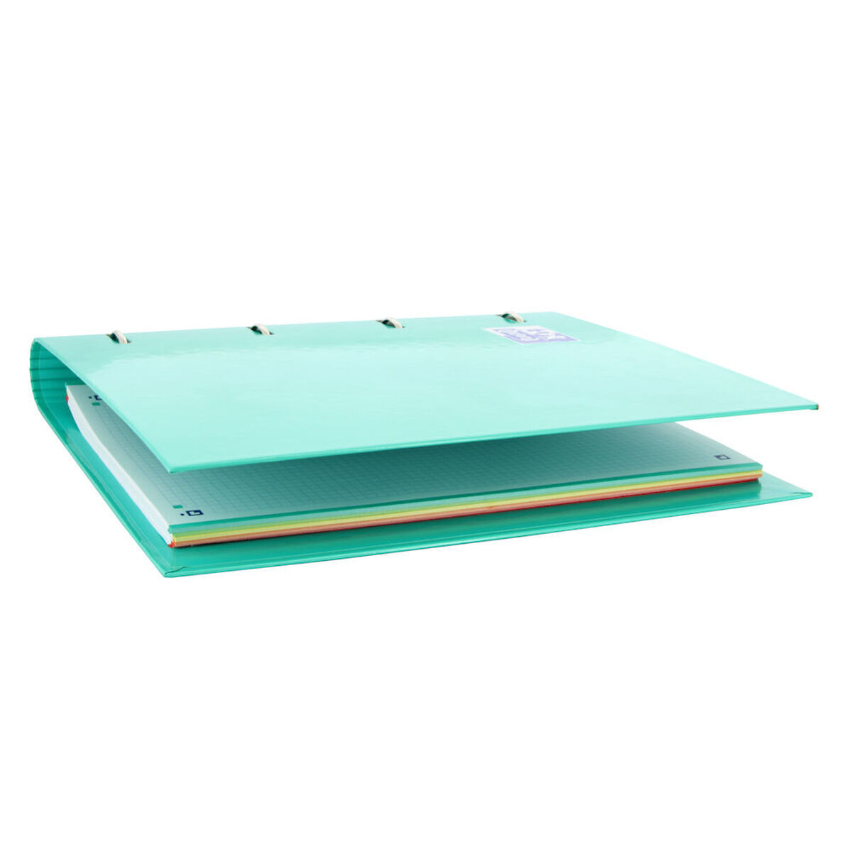 Папка Oxford Europeanbinder 1 штук A4 A4+-8