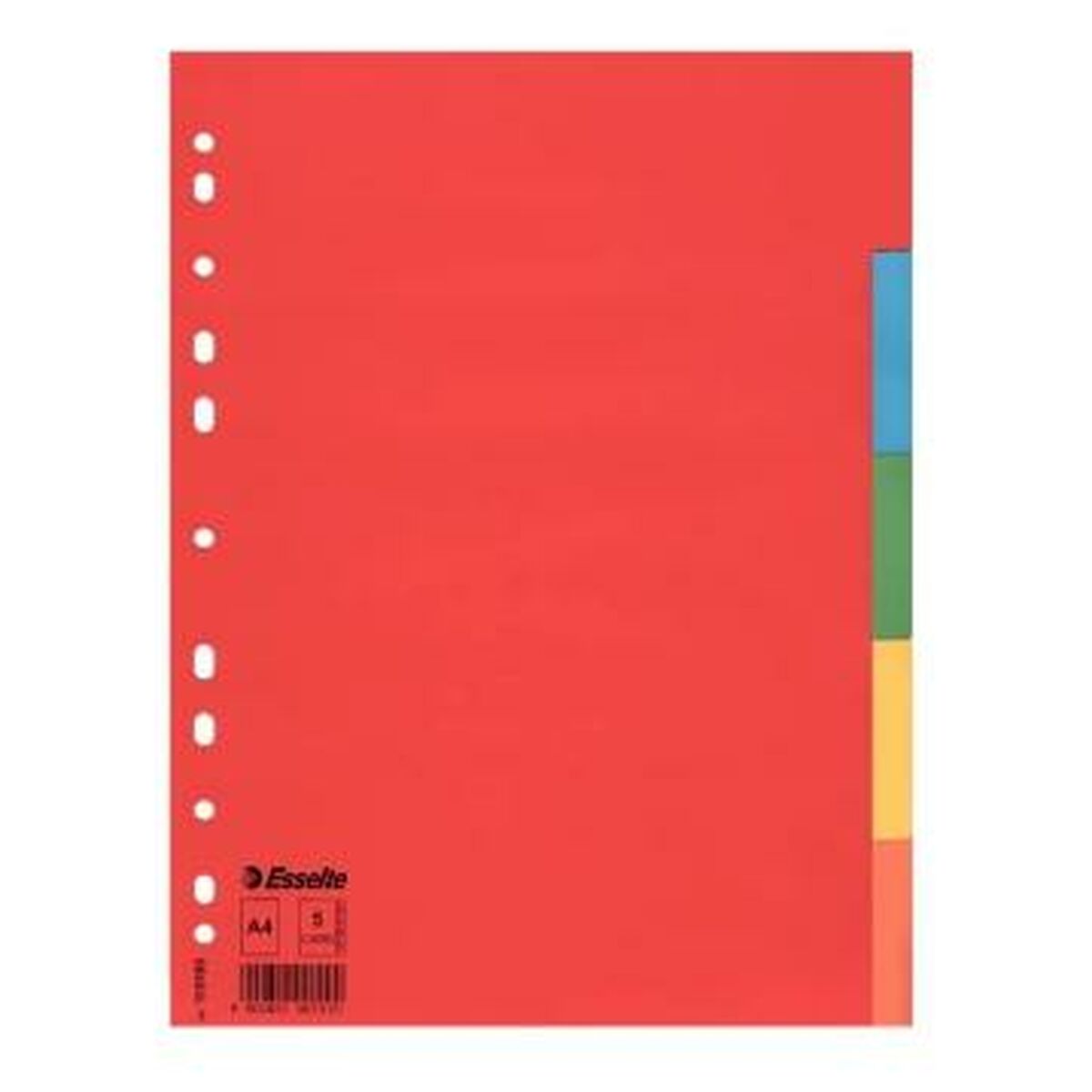 Разделители Esselte Разноцветный 5 листов A4 (20 штук)-2