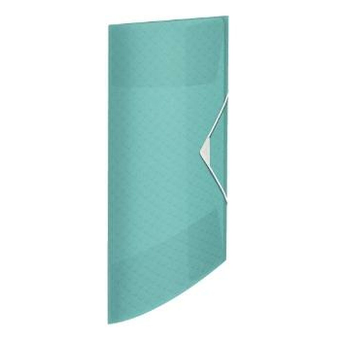 Папка Esselte Colour'ice A4 Синий 4 Предметы-2