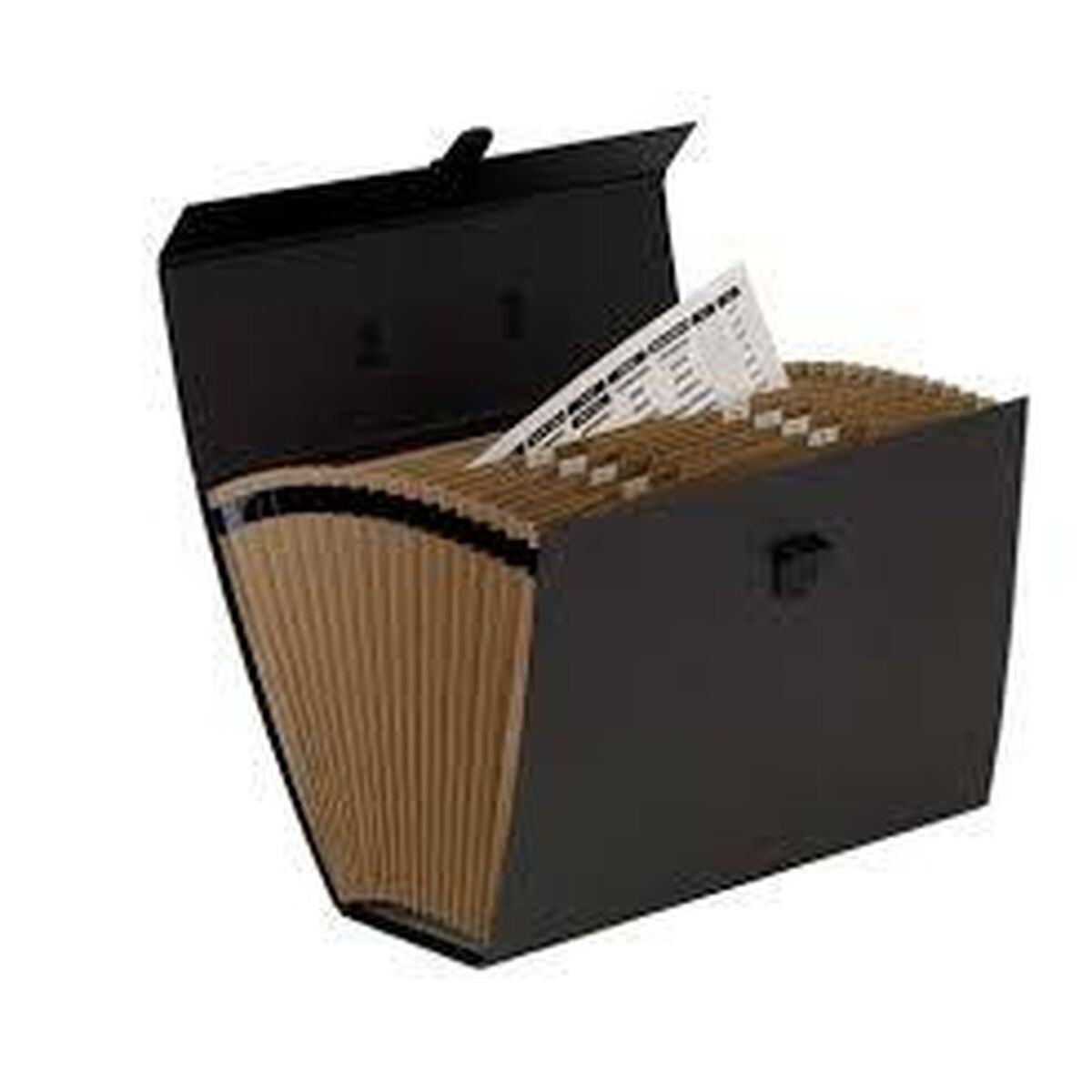 Папка-классификатор Fellowes  Аккордеон Чёрный (25 x 36,2 x 12,4 cm)-2