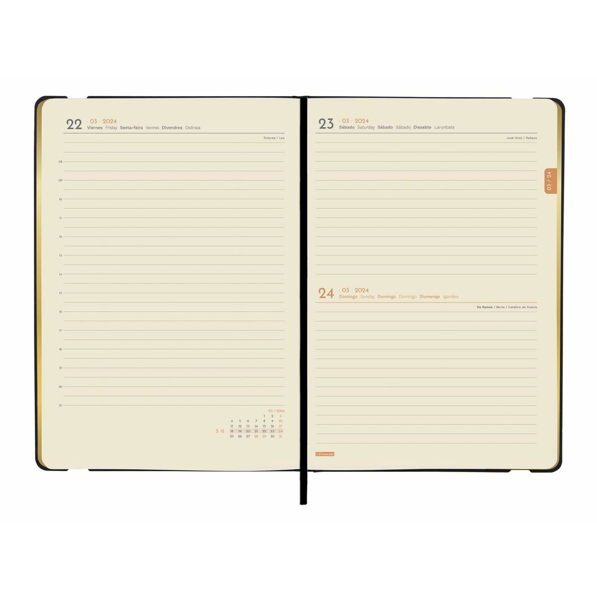 Расписание Finocam Flexy Joy Dotts 2024 Чёрный Позолоченный A5 14,8 x 21 cm-3