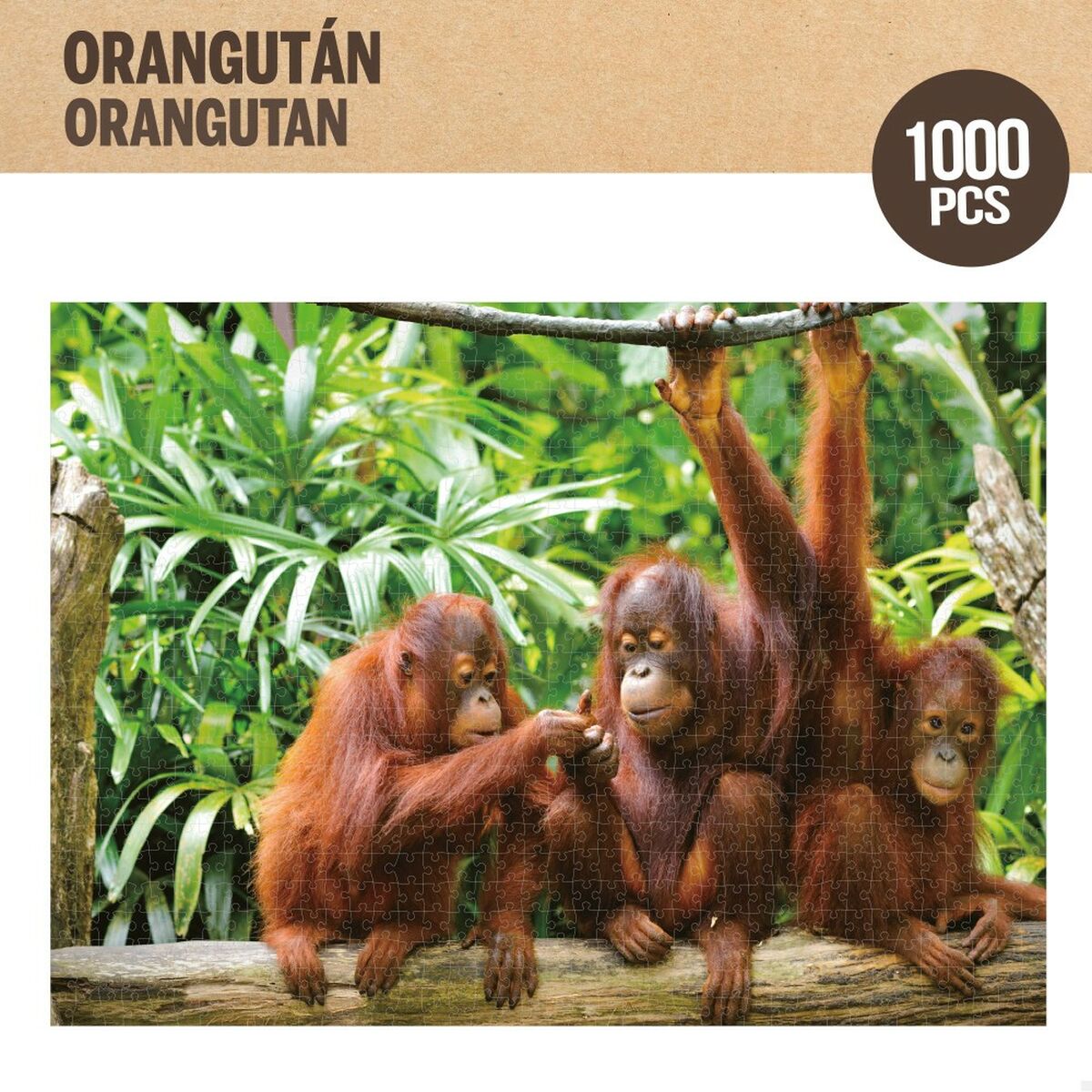 Головоломка Colorbaby Orangutan 6 штук 68 x 50 x 0,1 cm-3