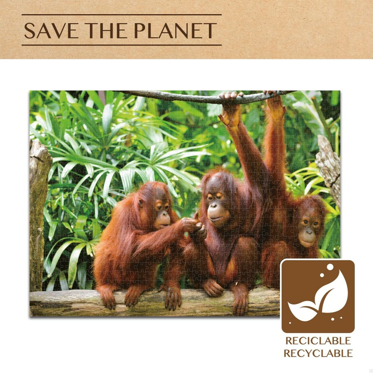 Головоломка Colorbaby Orangutan 6 штук 68 x 50 x 0,1 cm-4