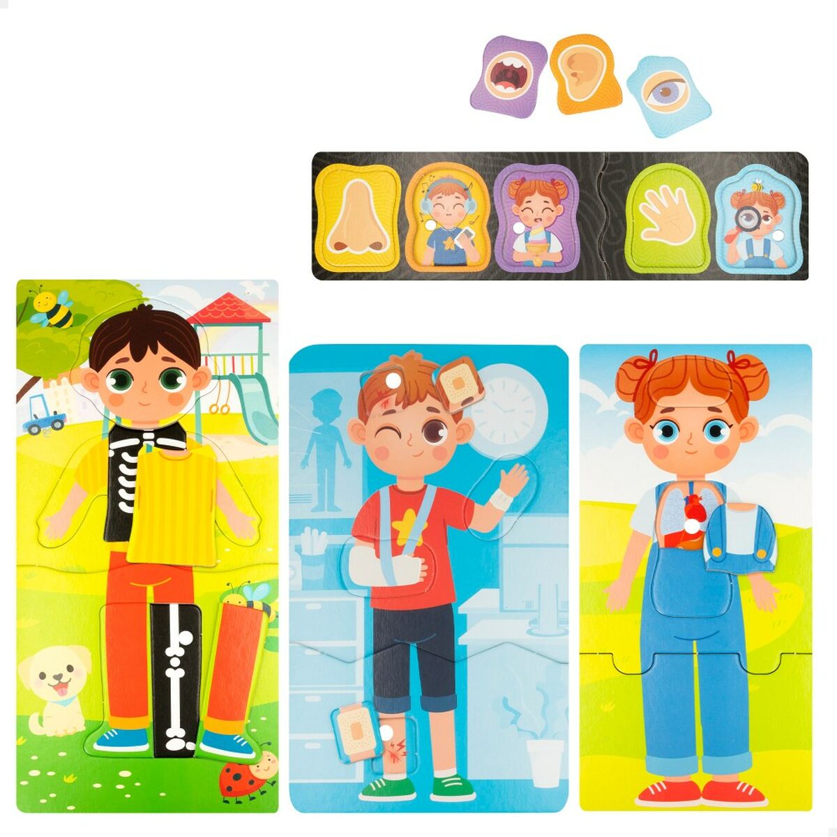Образовательный набор Lisciani Baby Doctor 22,5 x 0,5 x 47,5 cm (6 штук)-2
