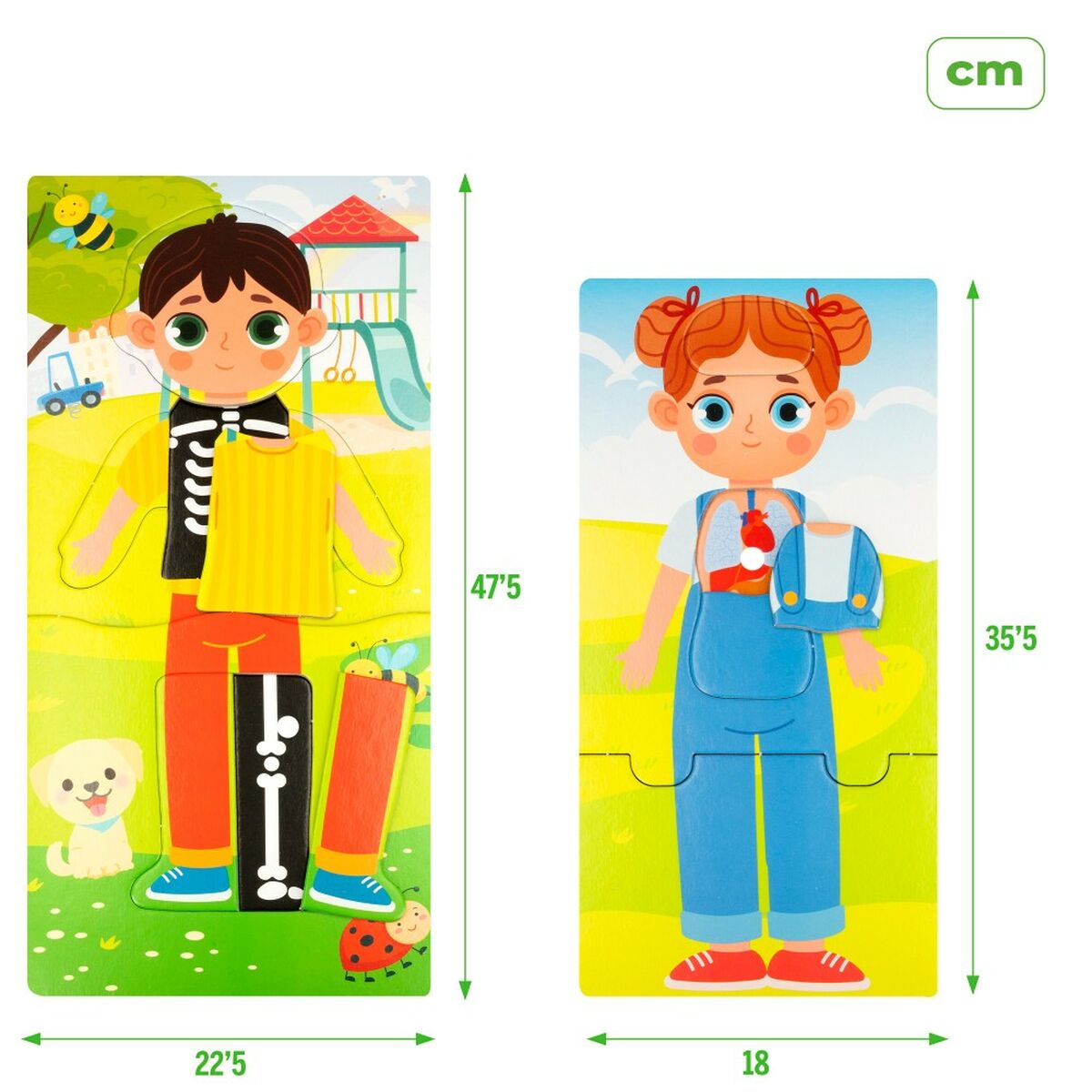 Образовательный набор Lisciani Baby Doctor 22,5 x 0,5 x 47,5 cm (6 штук)-7