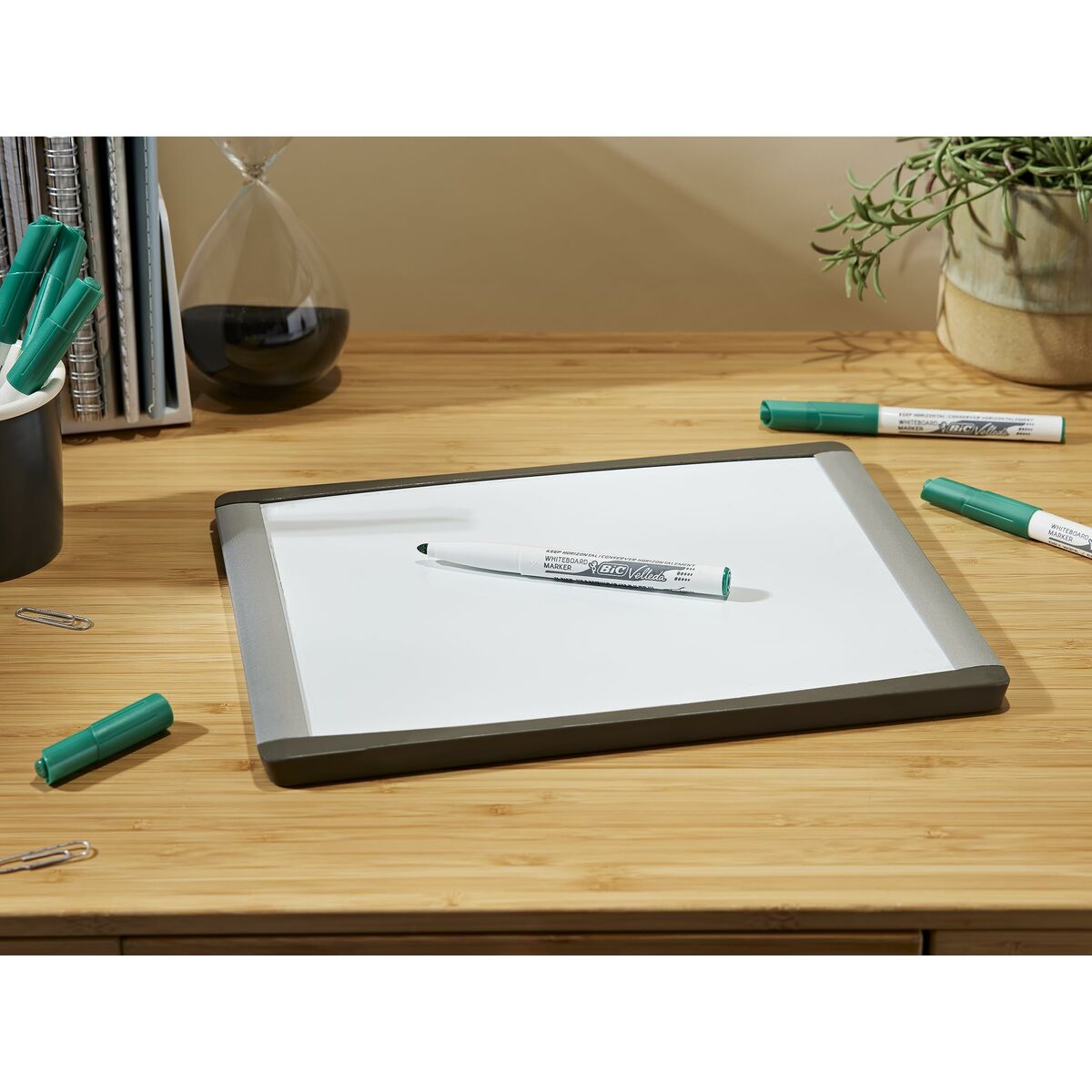 Фетр Bic 9581681 Зеленый Белая доска Круглая-4