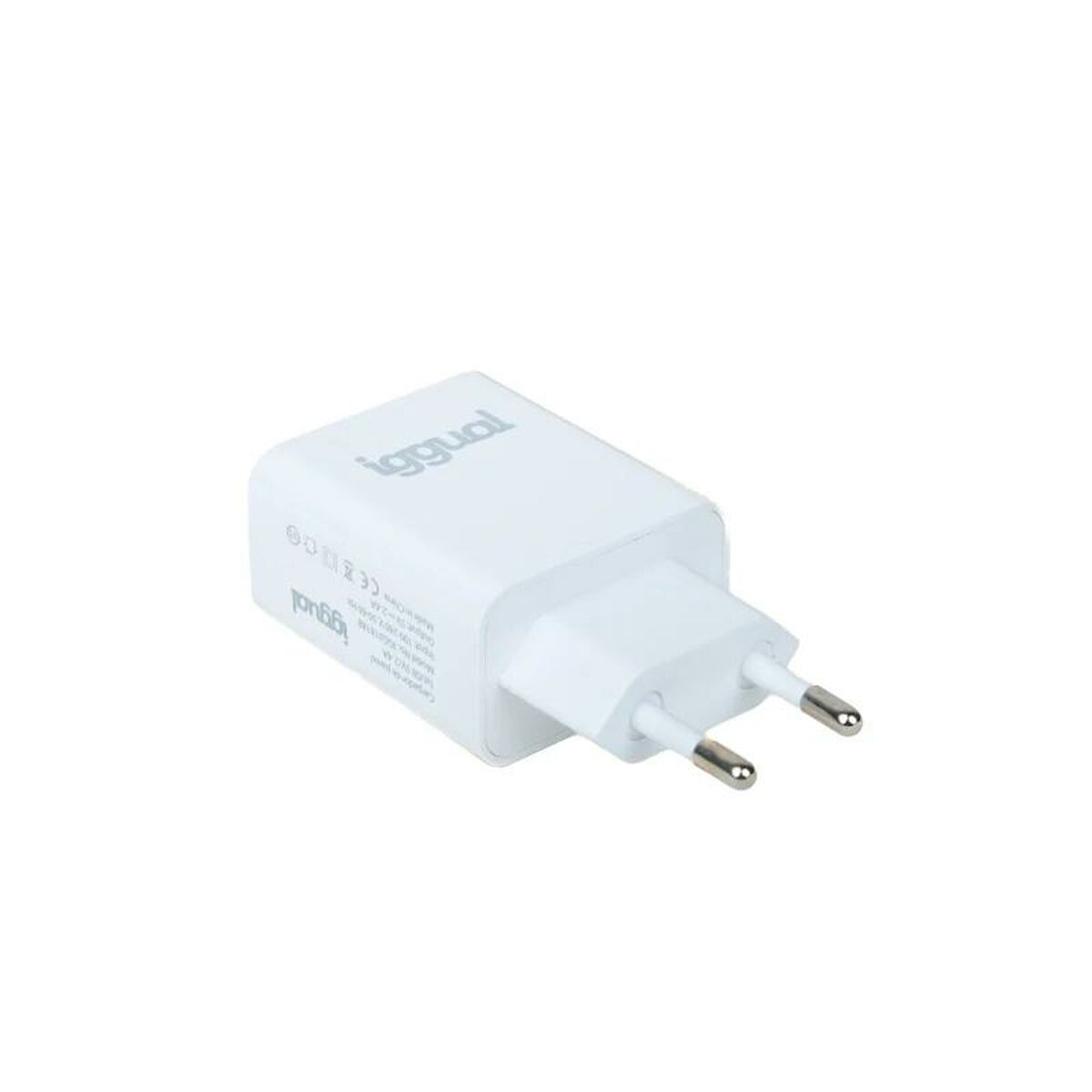 Сетевое зарядное устройство iggual IGG318188 12 W-3