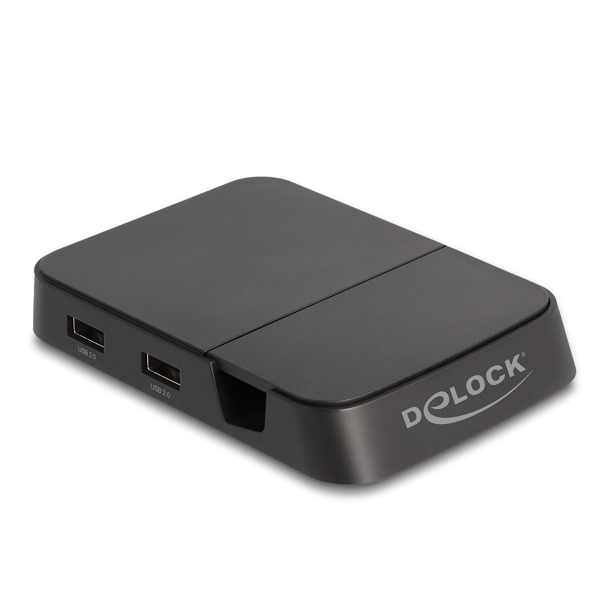 Док / зарядная база DELOCK 88018 Чёрный-2