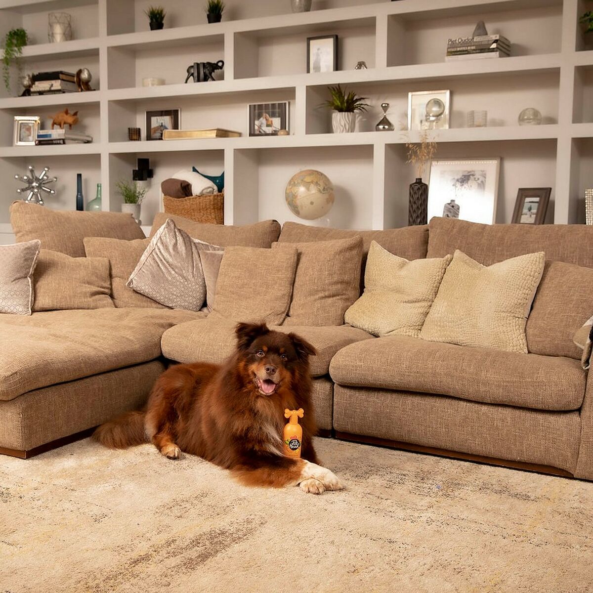 Шампунь для домашних животных Pet Head Ditch the Dirt Оранжевый-6