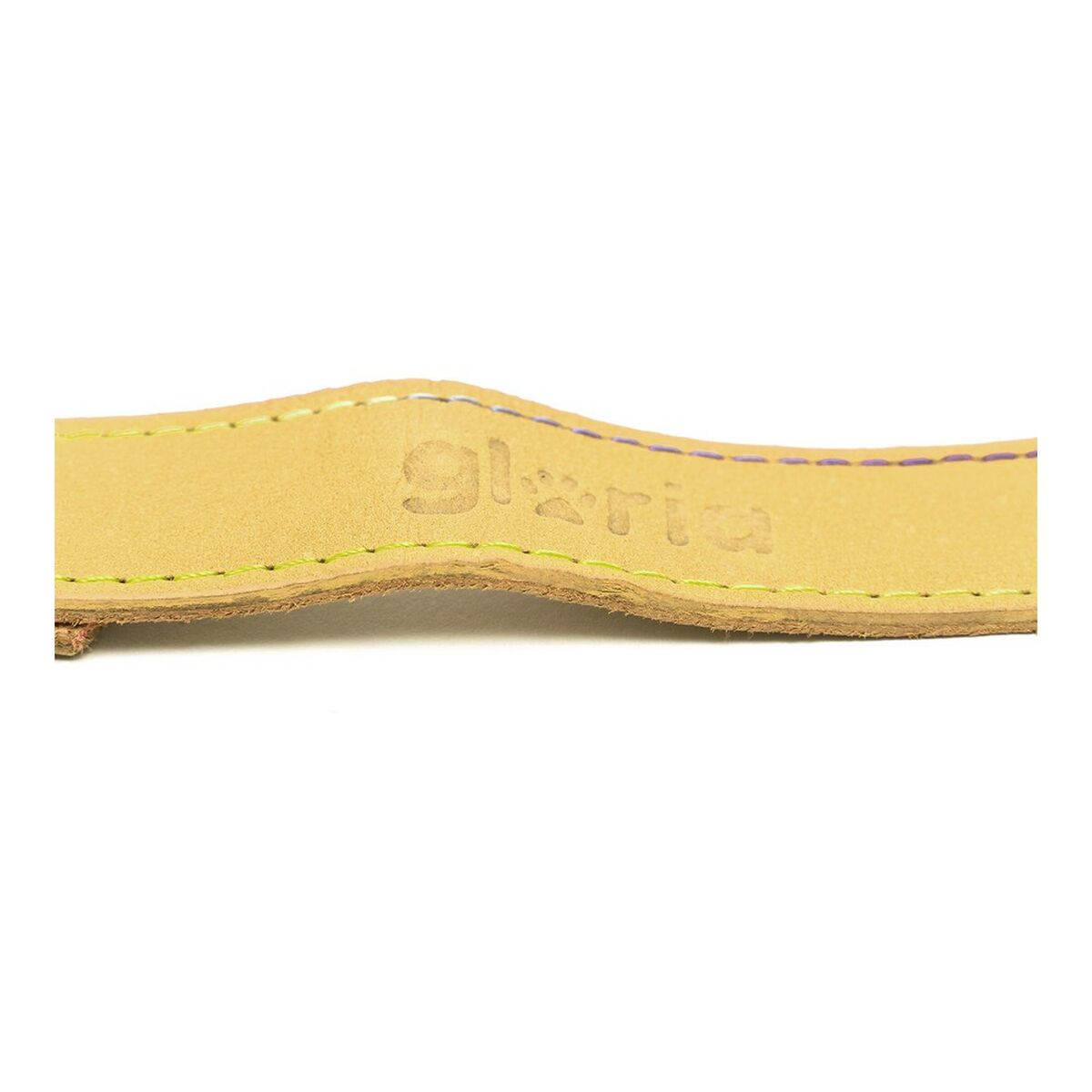 Correa para perros Gloria Oasis 2. 1 x 100 cm Amarillo-3