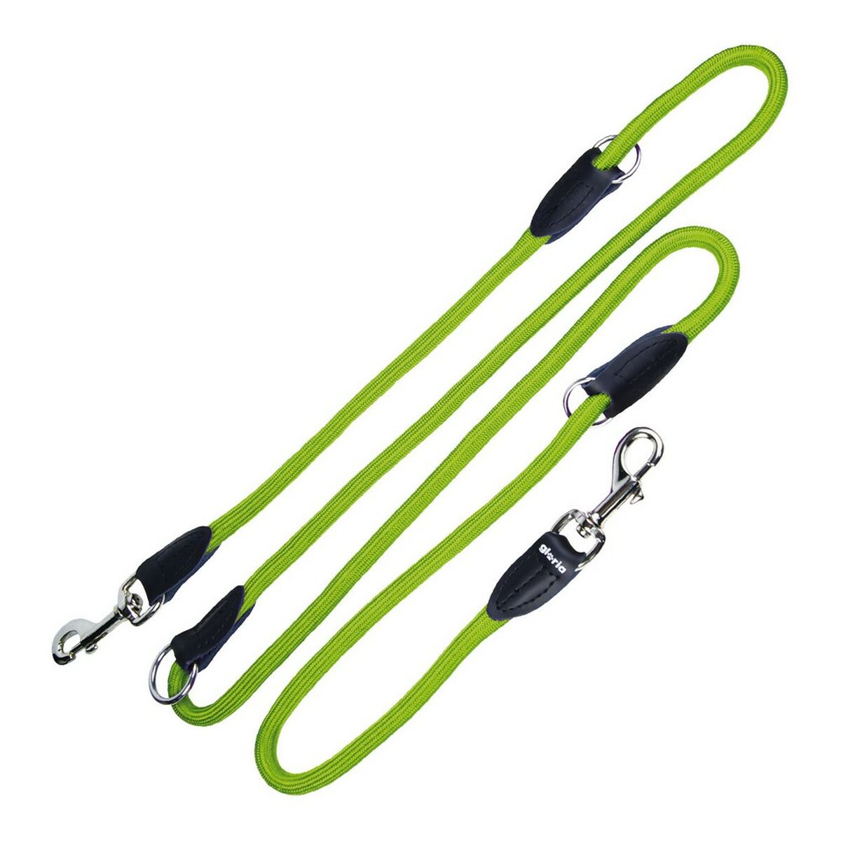 Correia para cães Glória 1 x 200 cm Verde