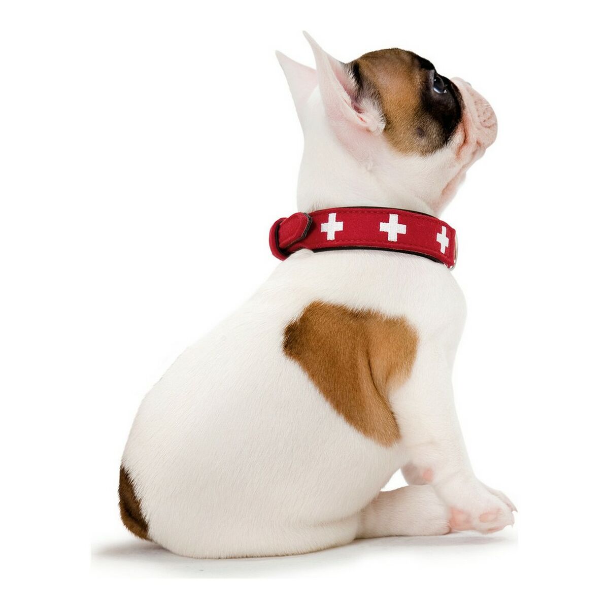 Hunter Swiss Dog Collar Red/Black (35-39. 5 سم)-2