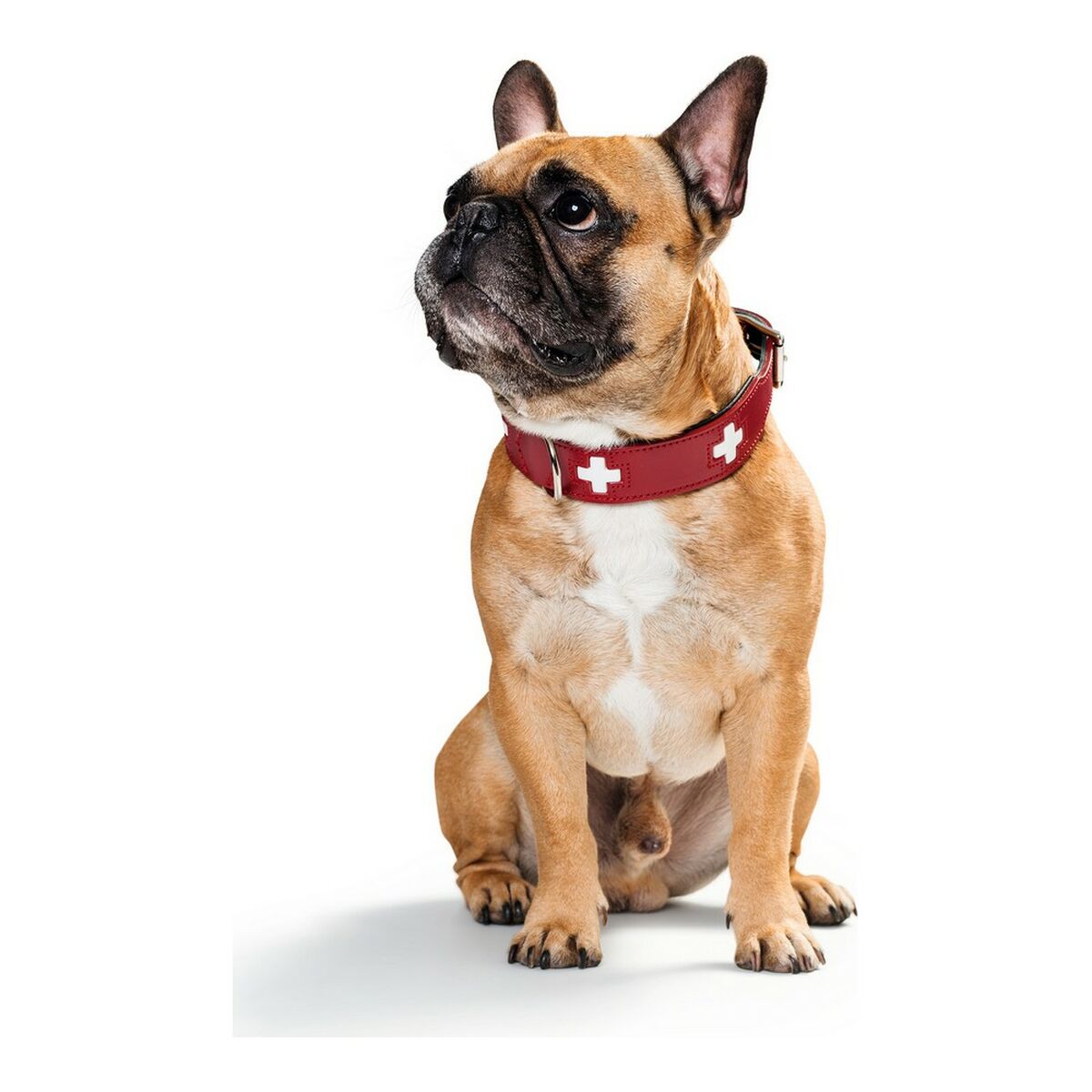Hunter Swiss Dog Collar Red/Black (35-39. 5 سم)-3