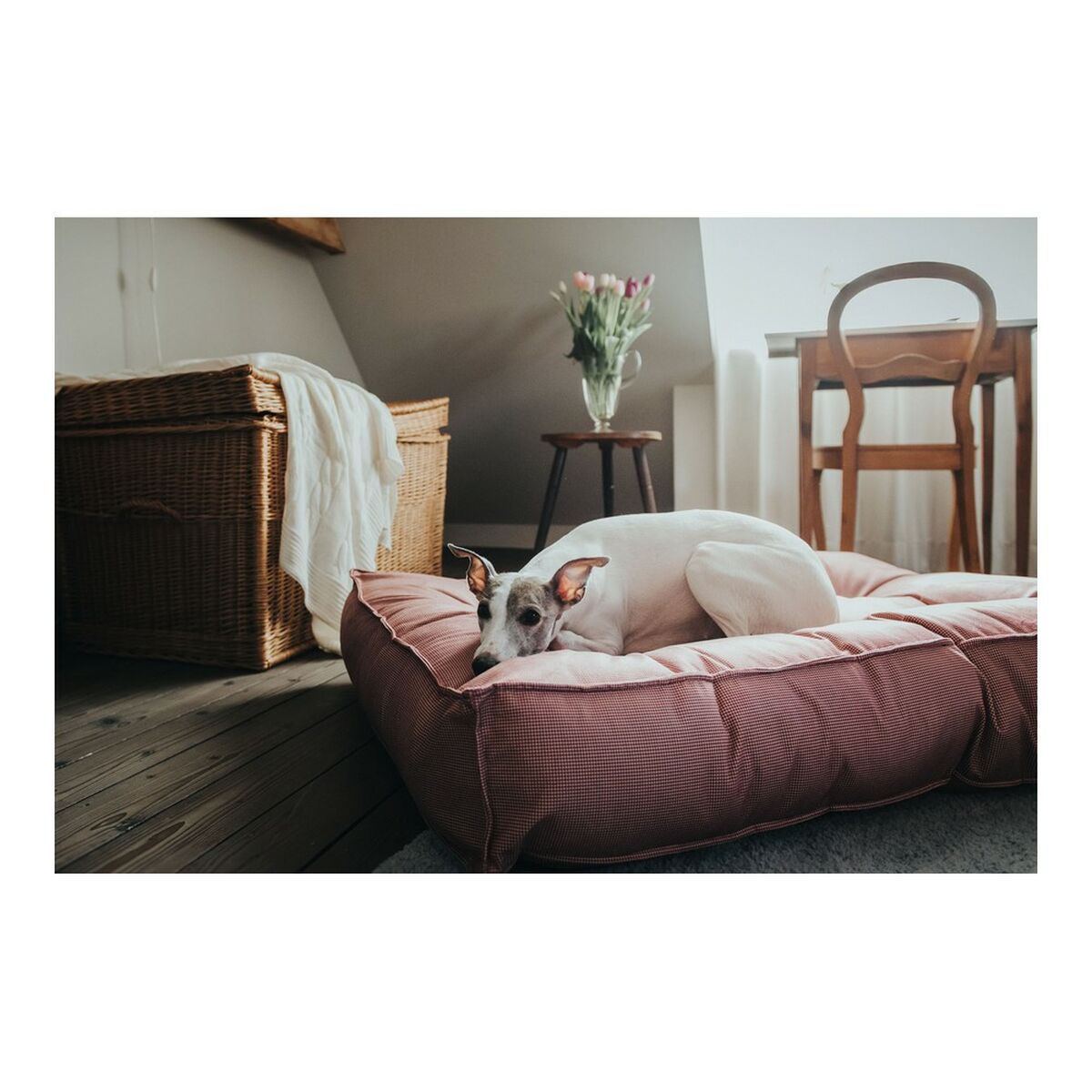 Avcı Lancaster Köpek Yatağı Kırmızı 100 x 70 cm-5