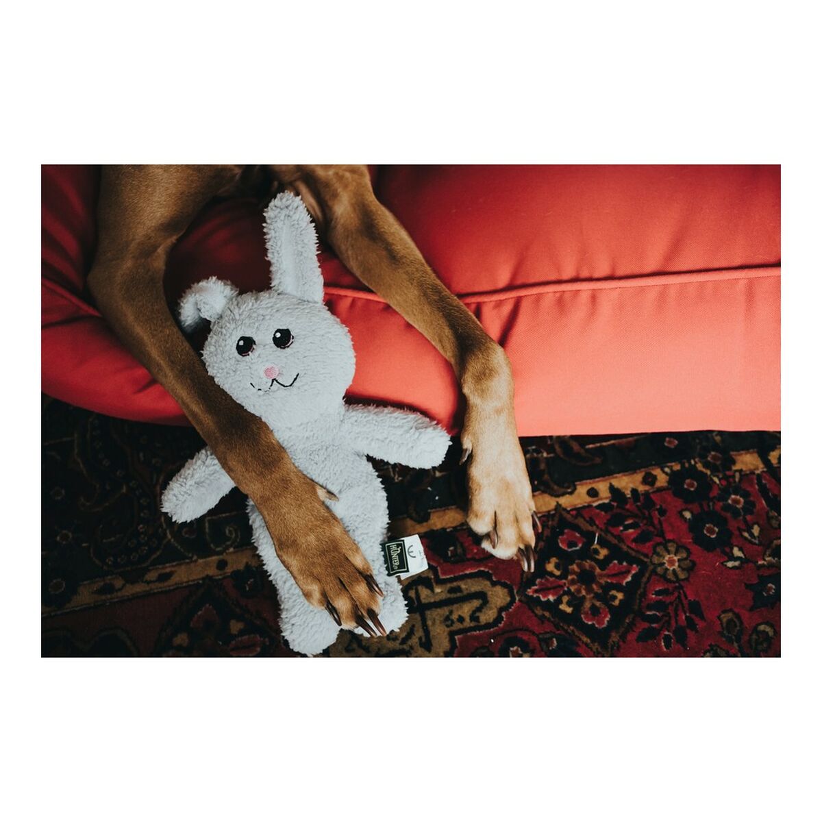 Игрушка для собак Hunter Terni Серый Кролик-3