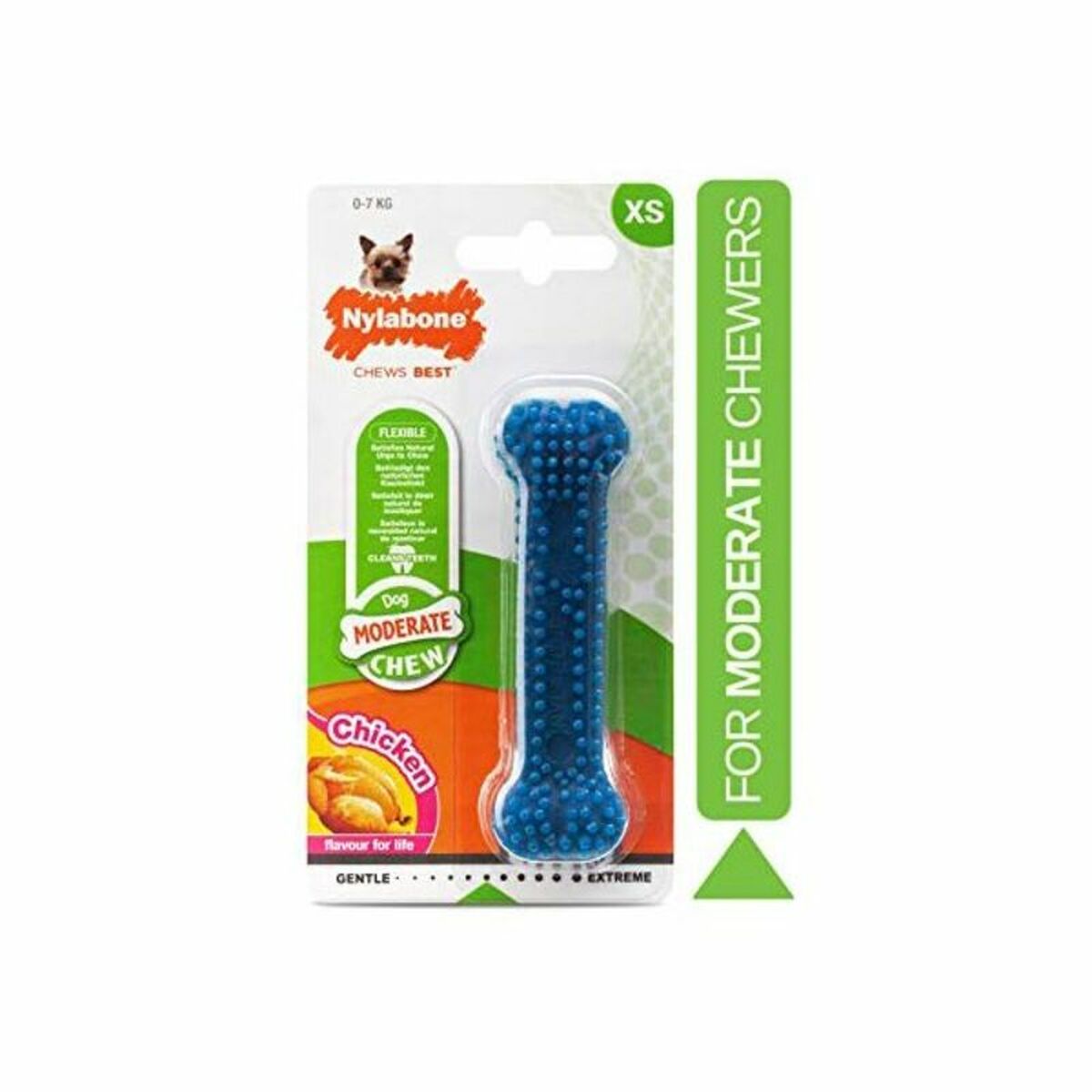 Hundespielzeug Nylabone Kleine blaue natürliche Huhn Thermoplast Größe XS-2