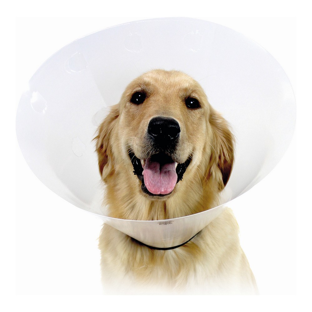 Köpek tasması Isabelino KVP Şeffaf Kontrol (34-43 cm)