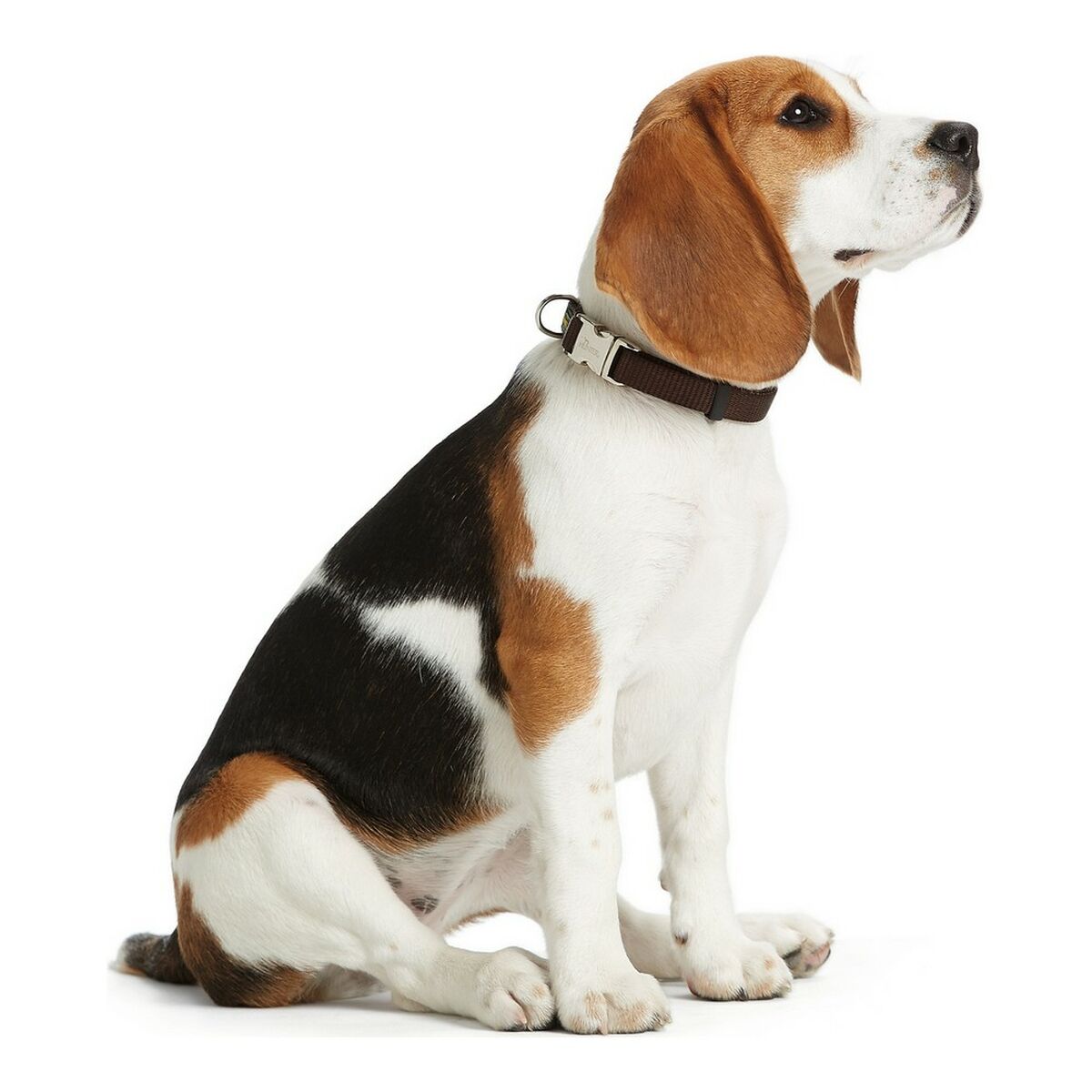 Hundehalsband Hunter Alu-Strong türkis Größe M (40-55 cm)-2