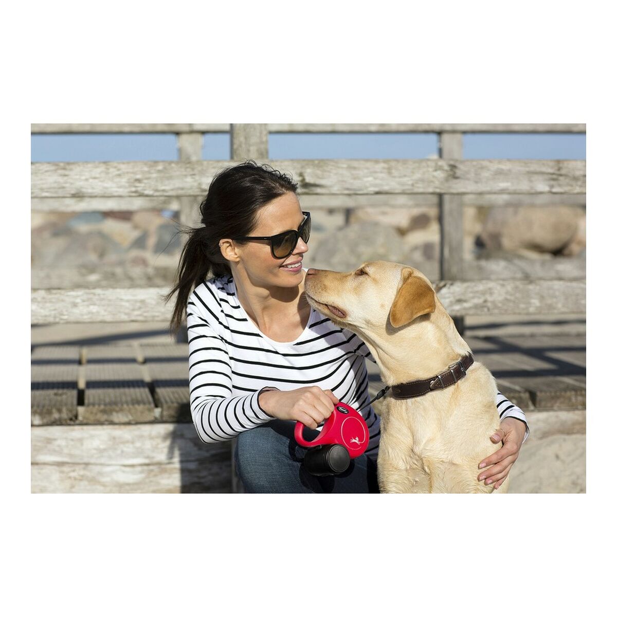 Laisse pour chien Flexi NEW CLASSIC 5m Rose Taille M-2