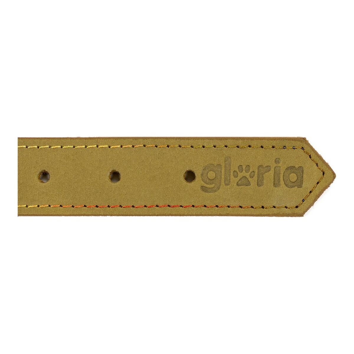 Gloria Oasis Dog Collar Green (65 × 3 سم)-2