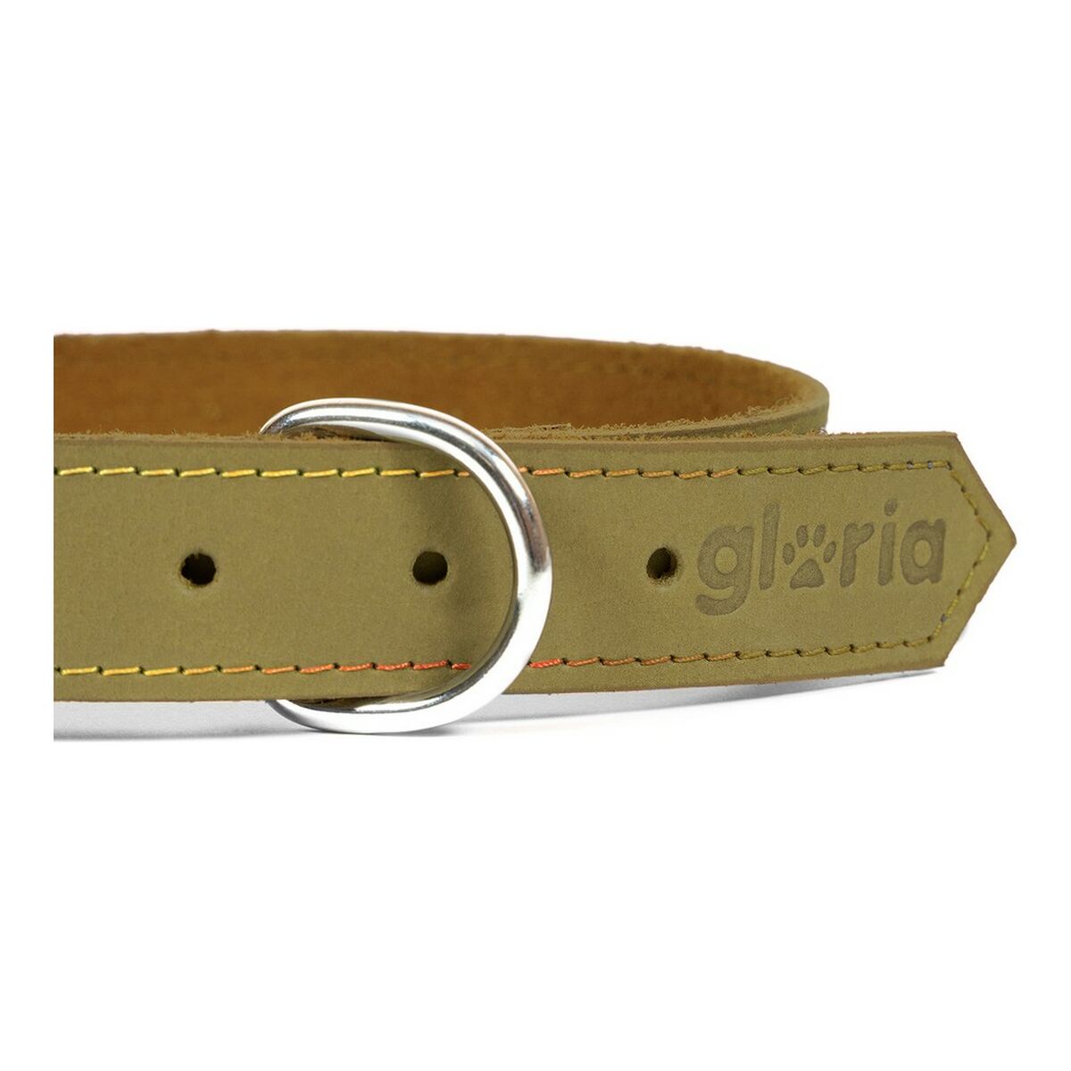 Gloria Oasis Dog Collar Green (65 × 3 سم)-4