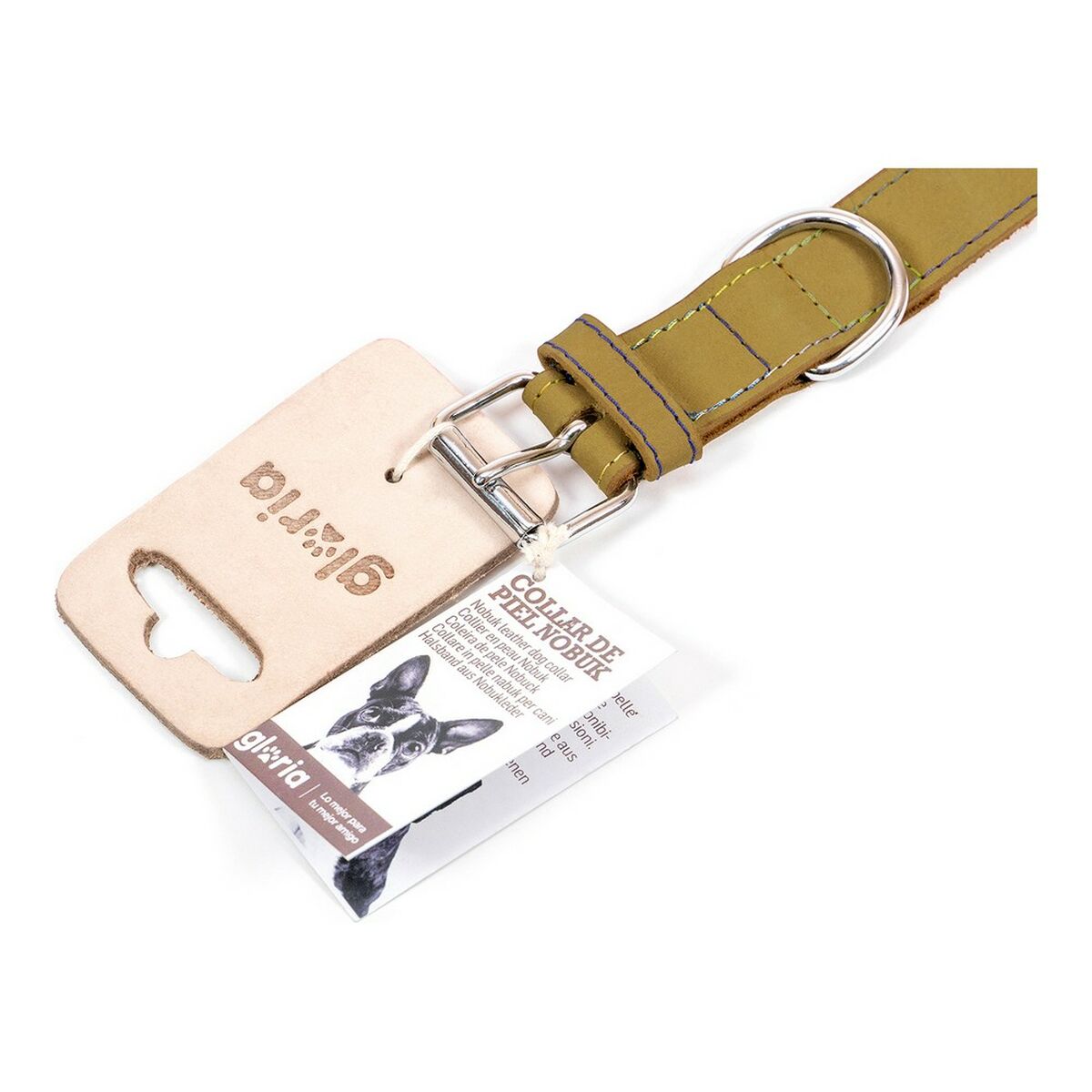 Gloria Oasis Dog Collar Green (65 × 3 سم)-5