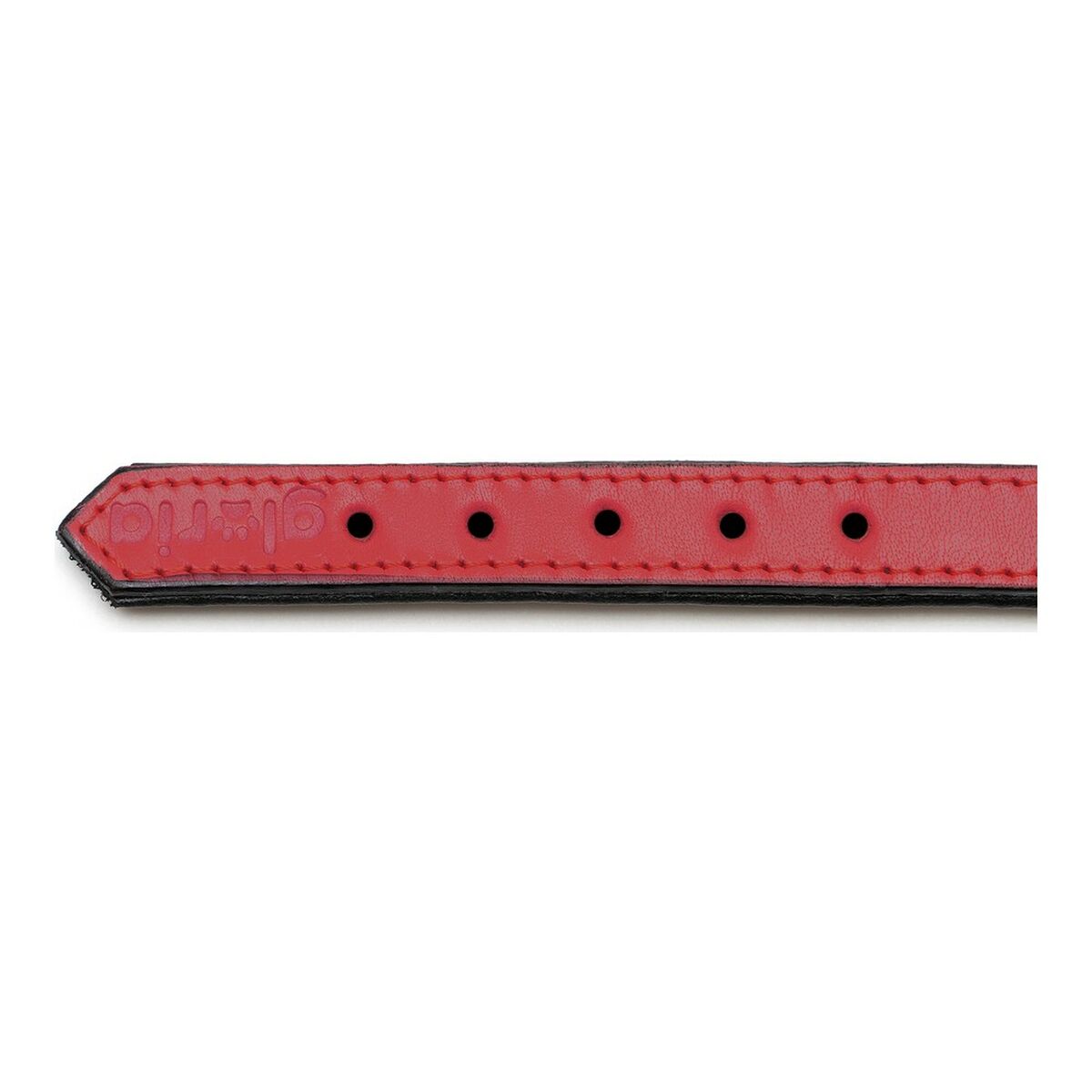 Coleira de cão Glória Estegão Vermelho (35 x 1,5 cm)-3