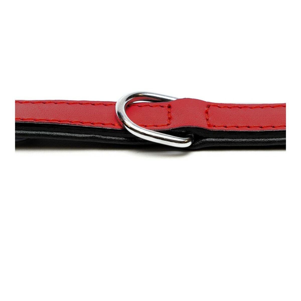 Coleira de cão Glória Estegão Vermelho (35 x 1,5 cm)-4