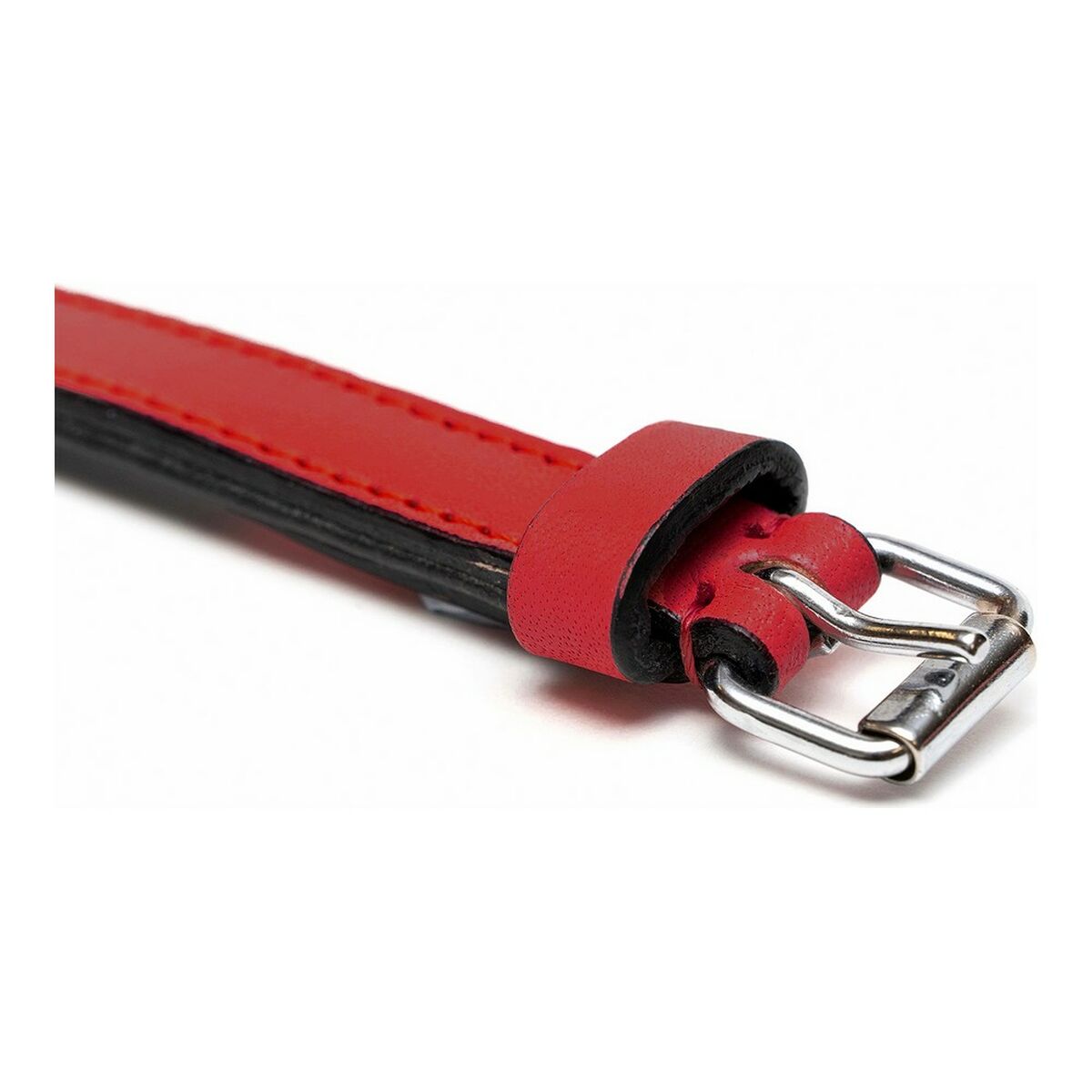 Coleira de cão Glória Estegão Vermelho (35 x 1,5 cm)-5
