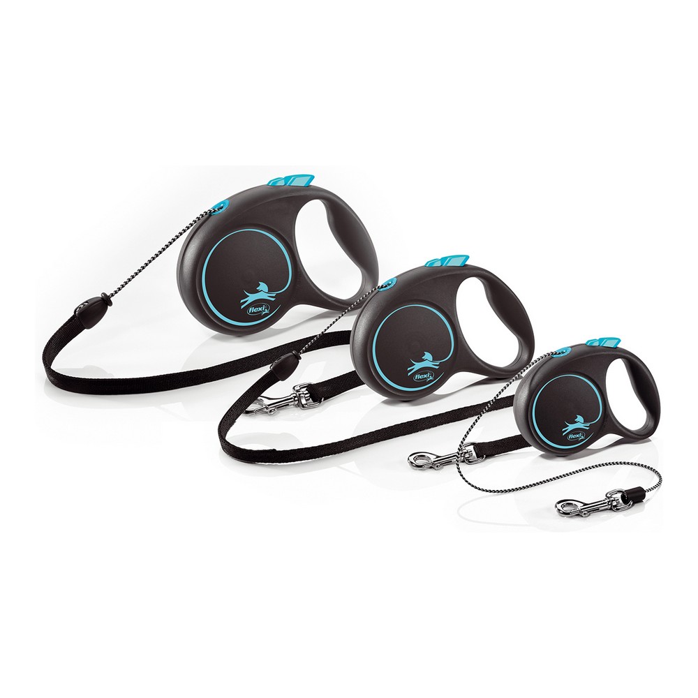 Flexi III DESIII Արծաթե XS-2