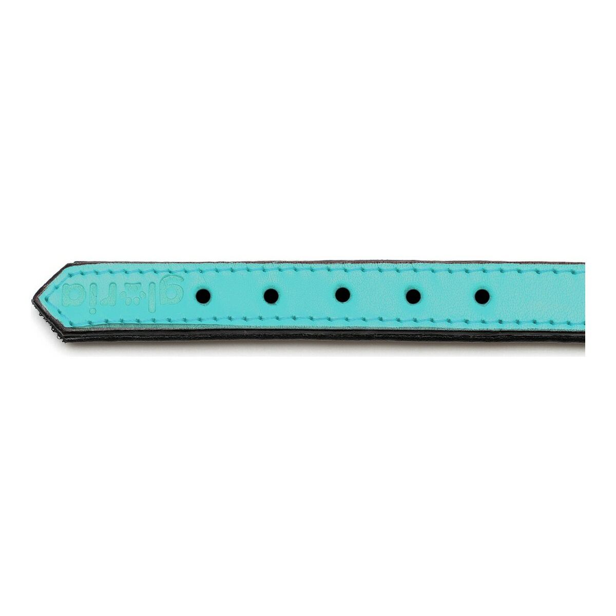 Collar de perro Gloria Acolchado Turquoise 40 cm (40 x 2 cm)-2